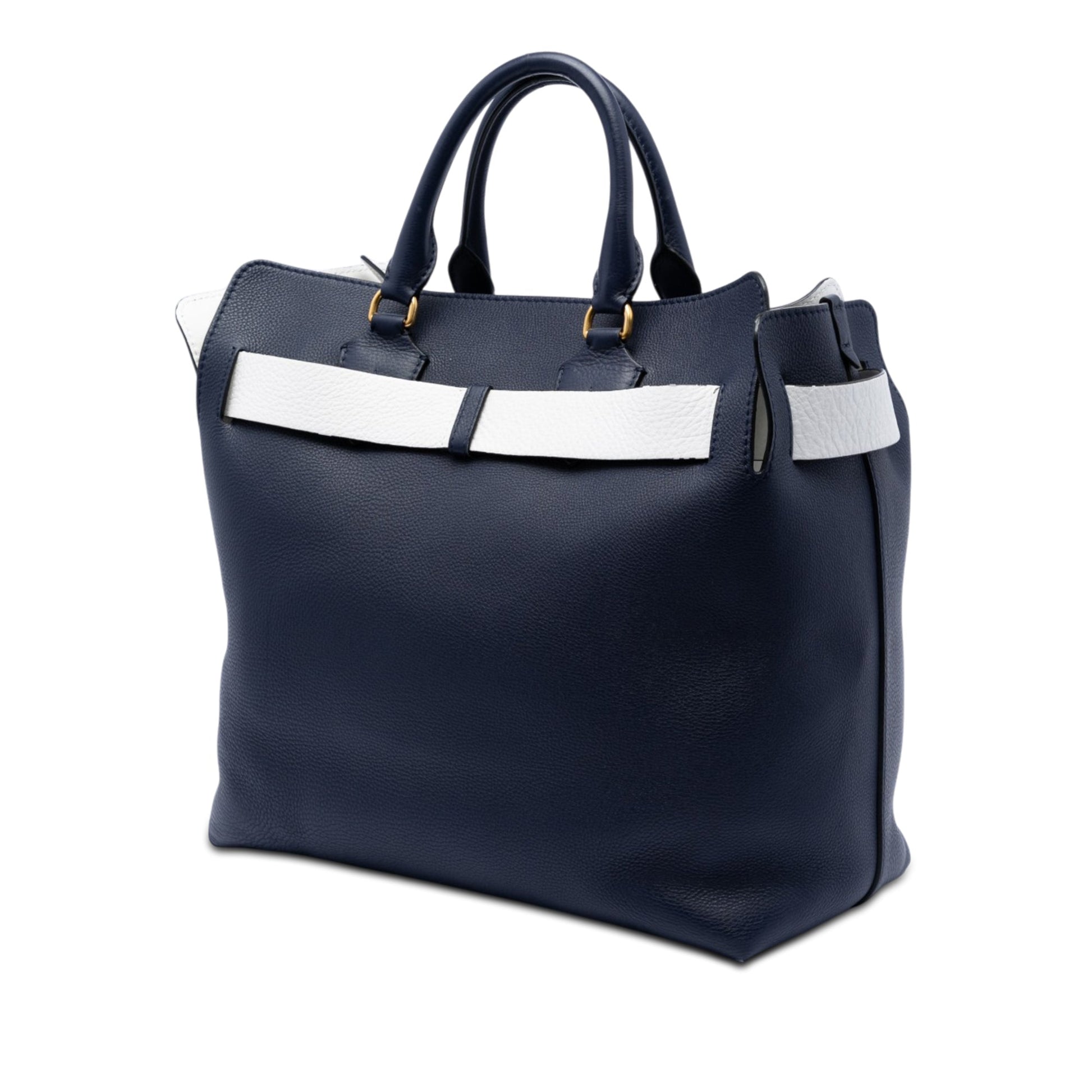 Burberry Large Bicolor Leather Belt Bag