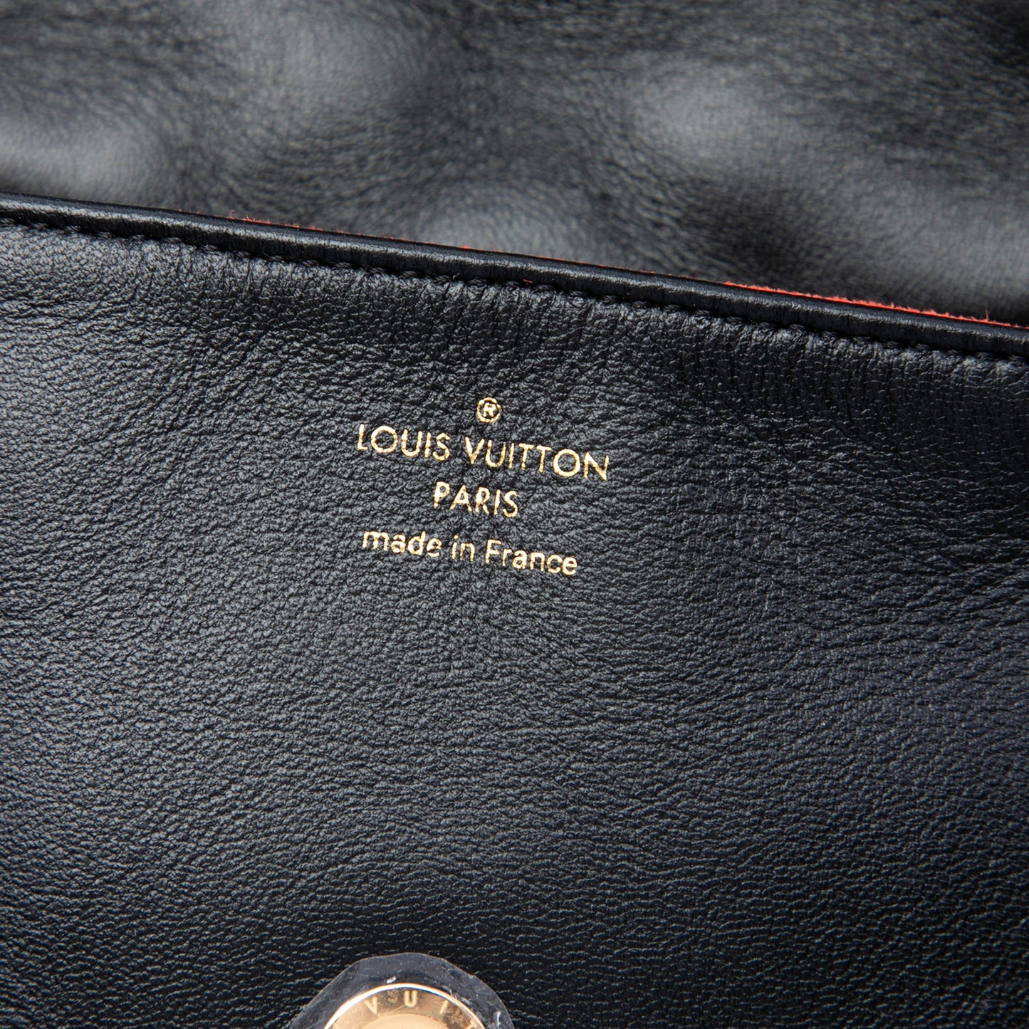 Louis Vuitton Monogram Embossed Puffy Lambskin Coussin Belt Bag