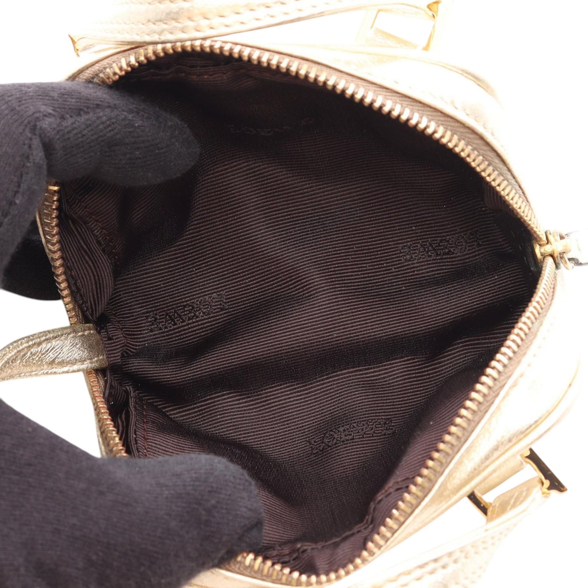 LOEWE Micro Mini Leather Amazona