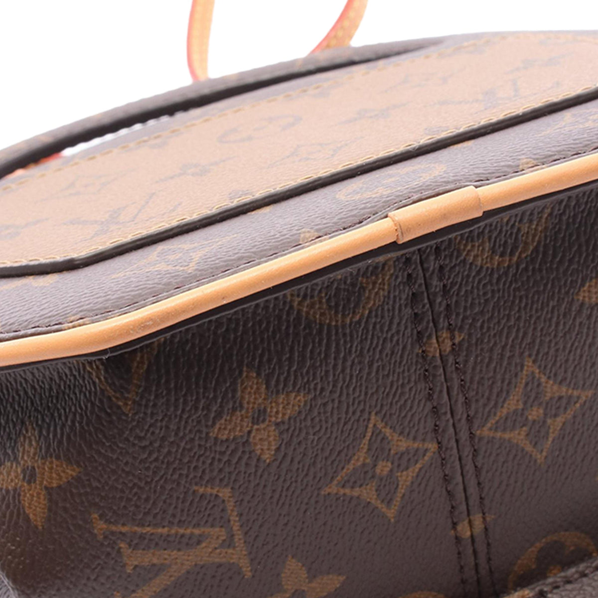 Louis Vuitton Monogram Reverse Around Me PM — Brown