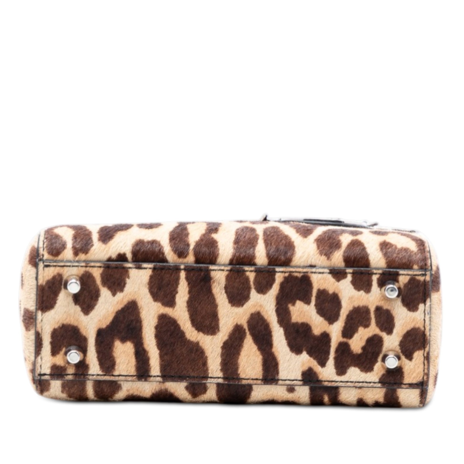 Dior Mini Pony Hair Leopard Print Lady Dior