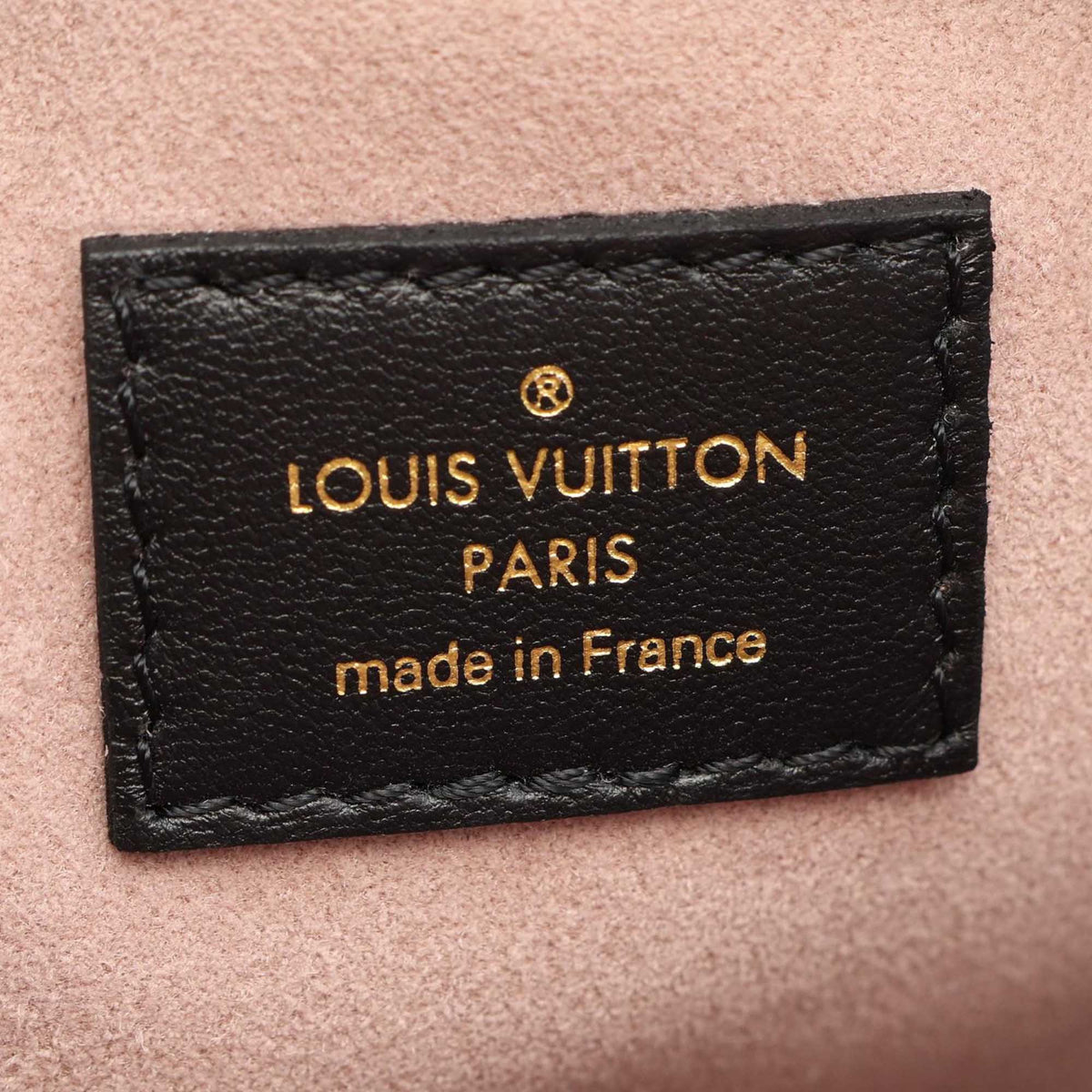 Louis Vuitton Monogram Embossed Puffy Lambskin Coussin PM