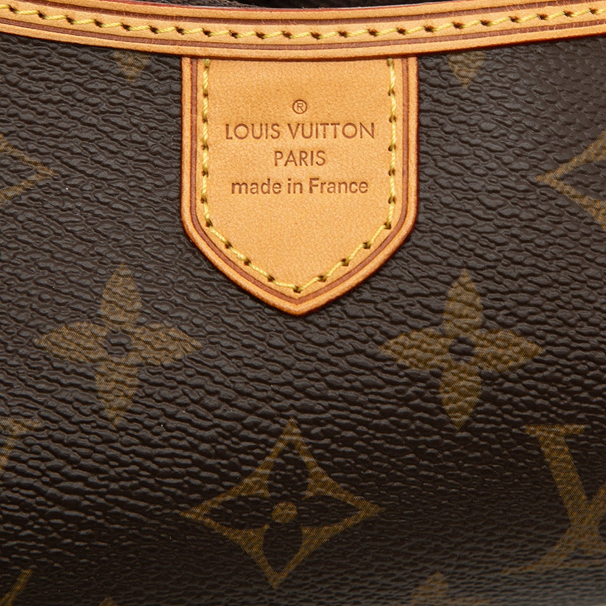Louis Vuitton Monogram Mini Delightful Pochette