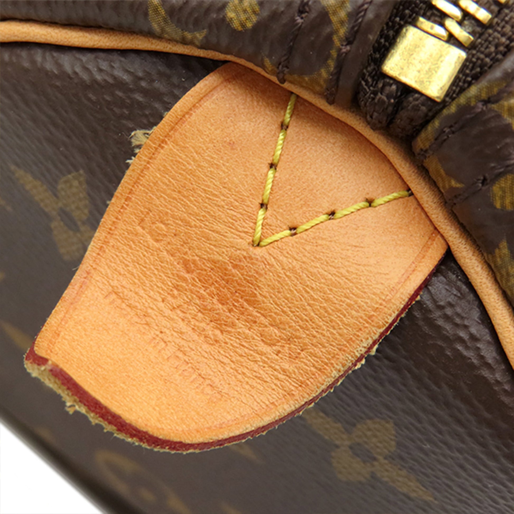 Louis Vuitton Monogram Speedy 25