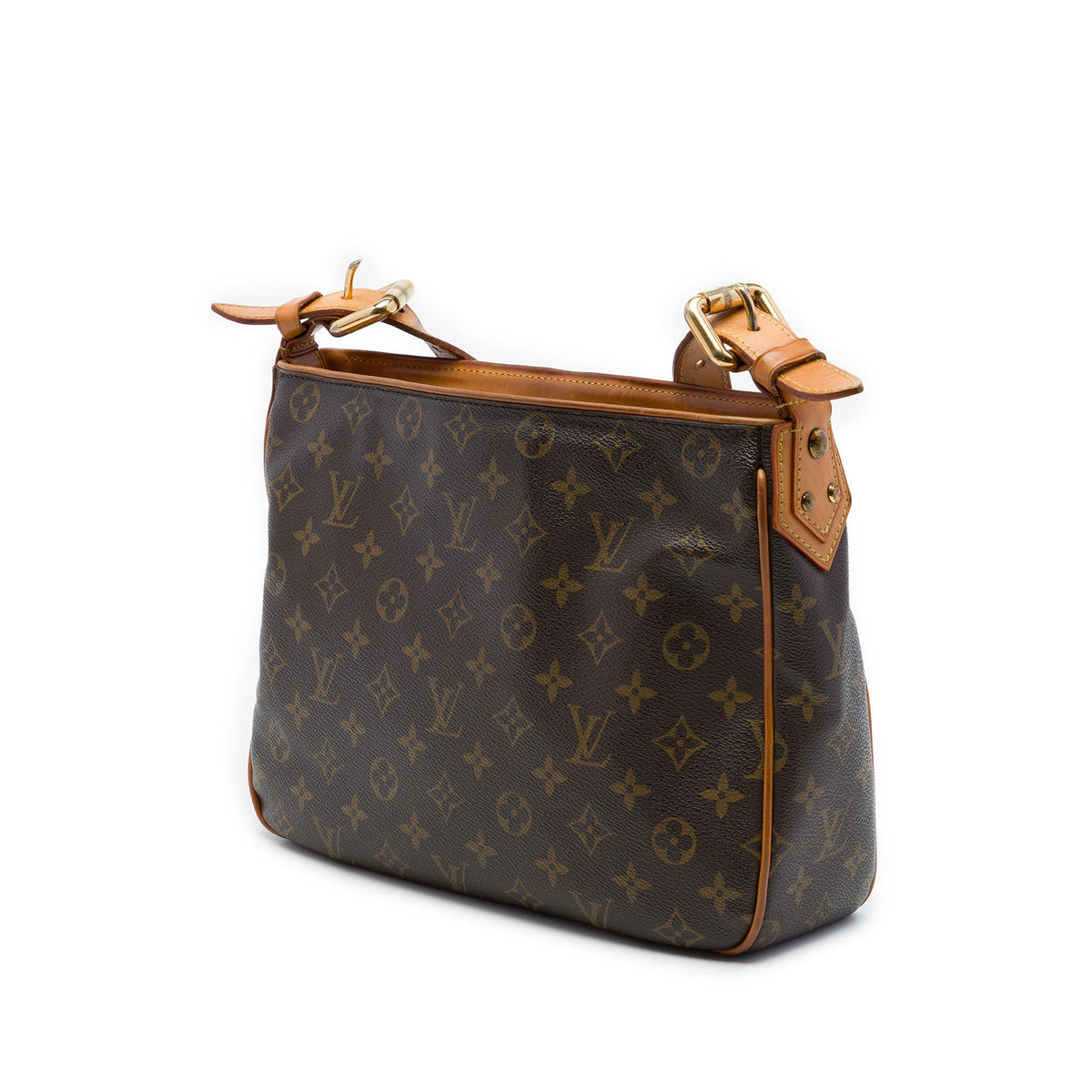 Louis Vuitton Monogram Hudson GM — Brown