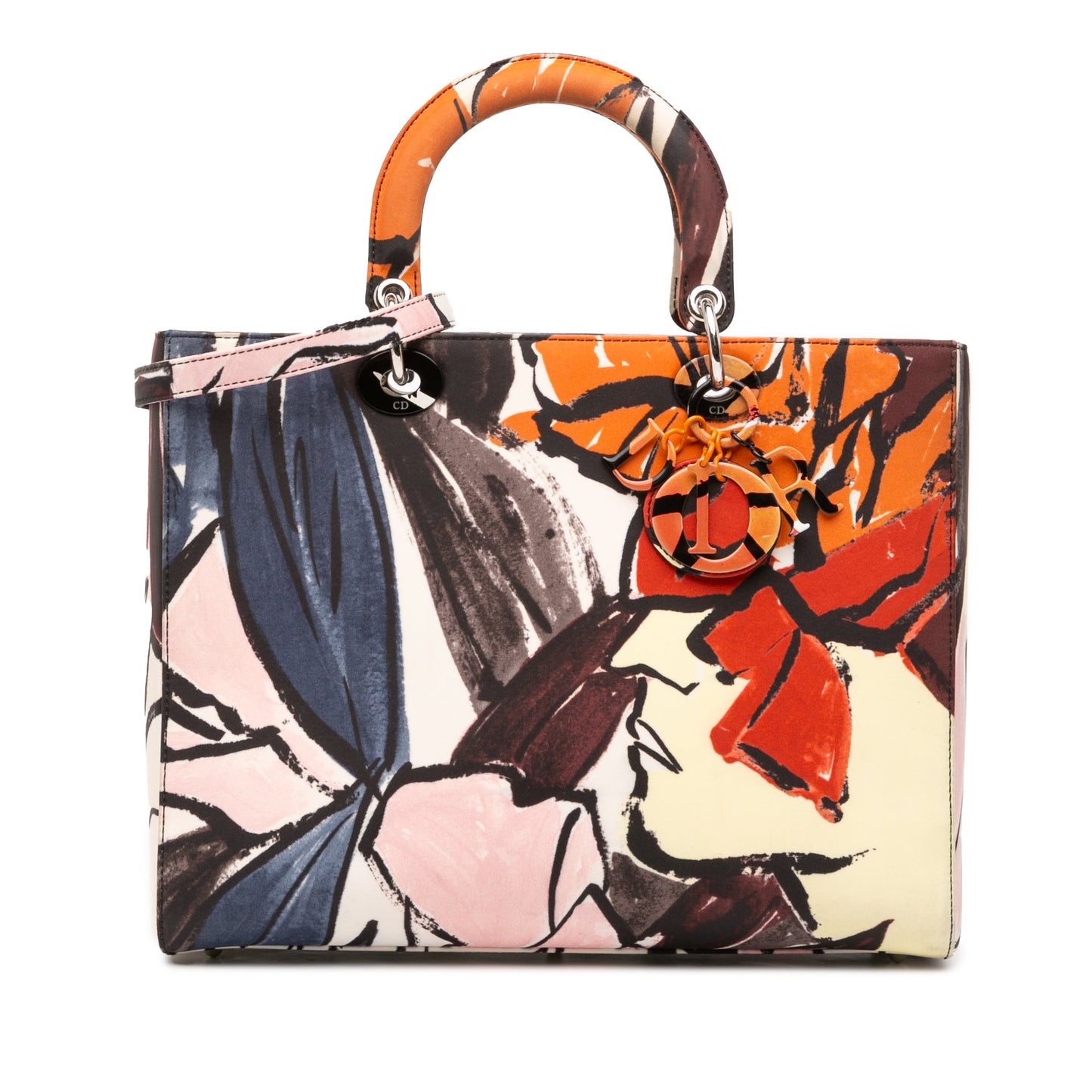 Dior Large Canvas Floral Graffiti Lady D Lite