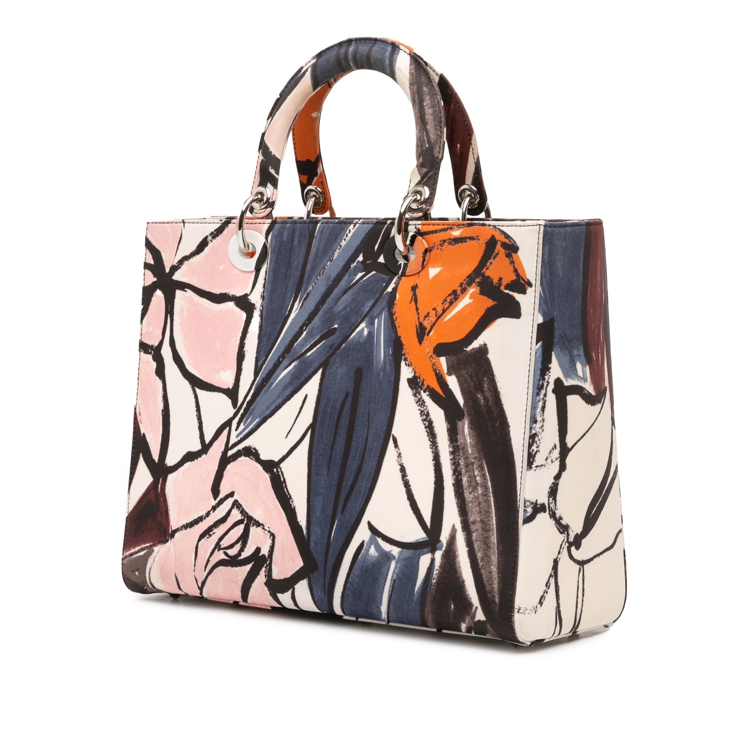 Dior Large Canvas Floral Graffiti Lady D Lite