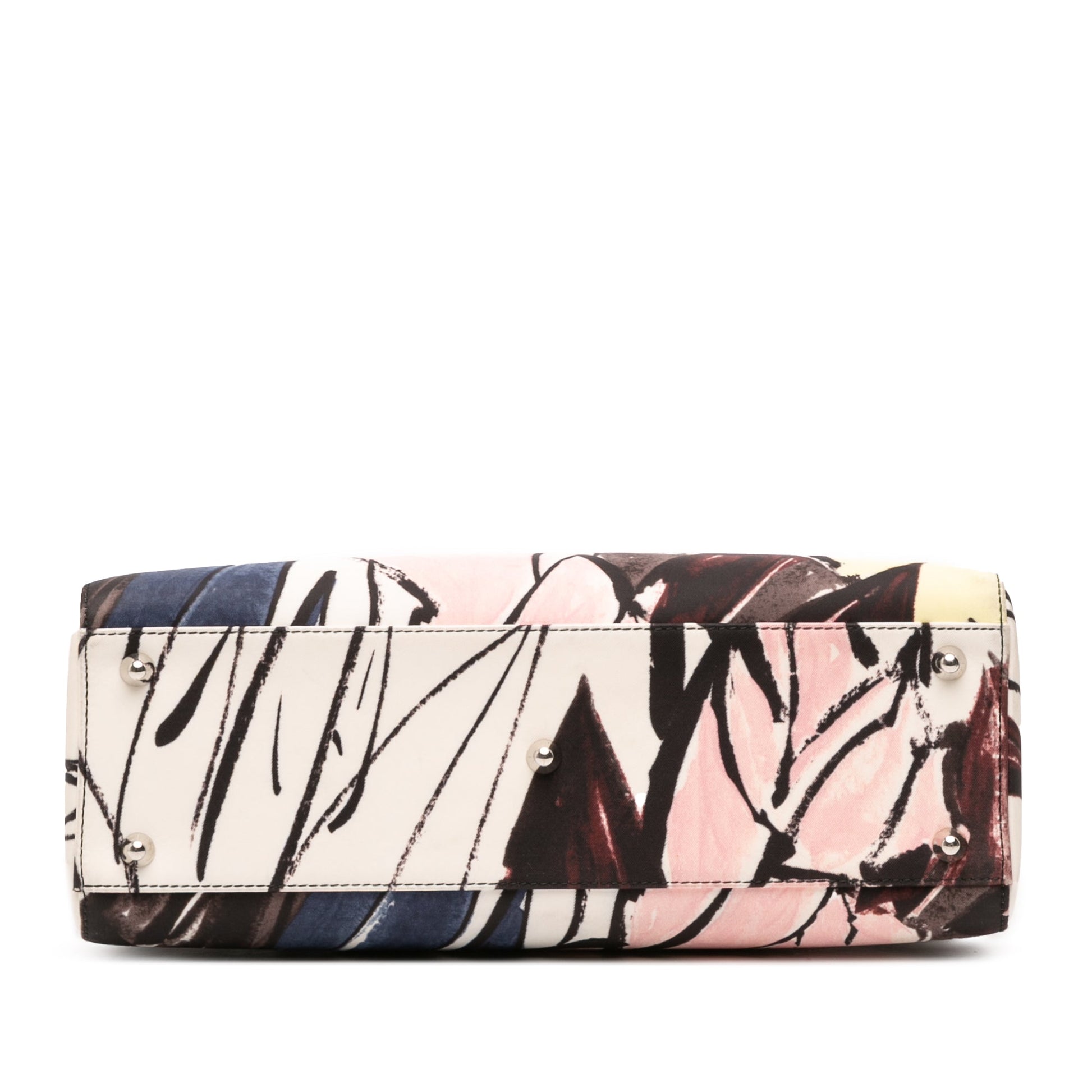 Dior Large Canvas Floral Graffiti Lady D Lite