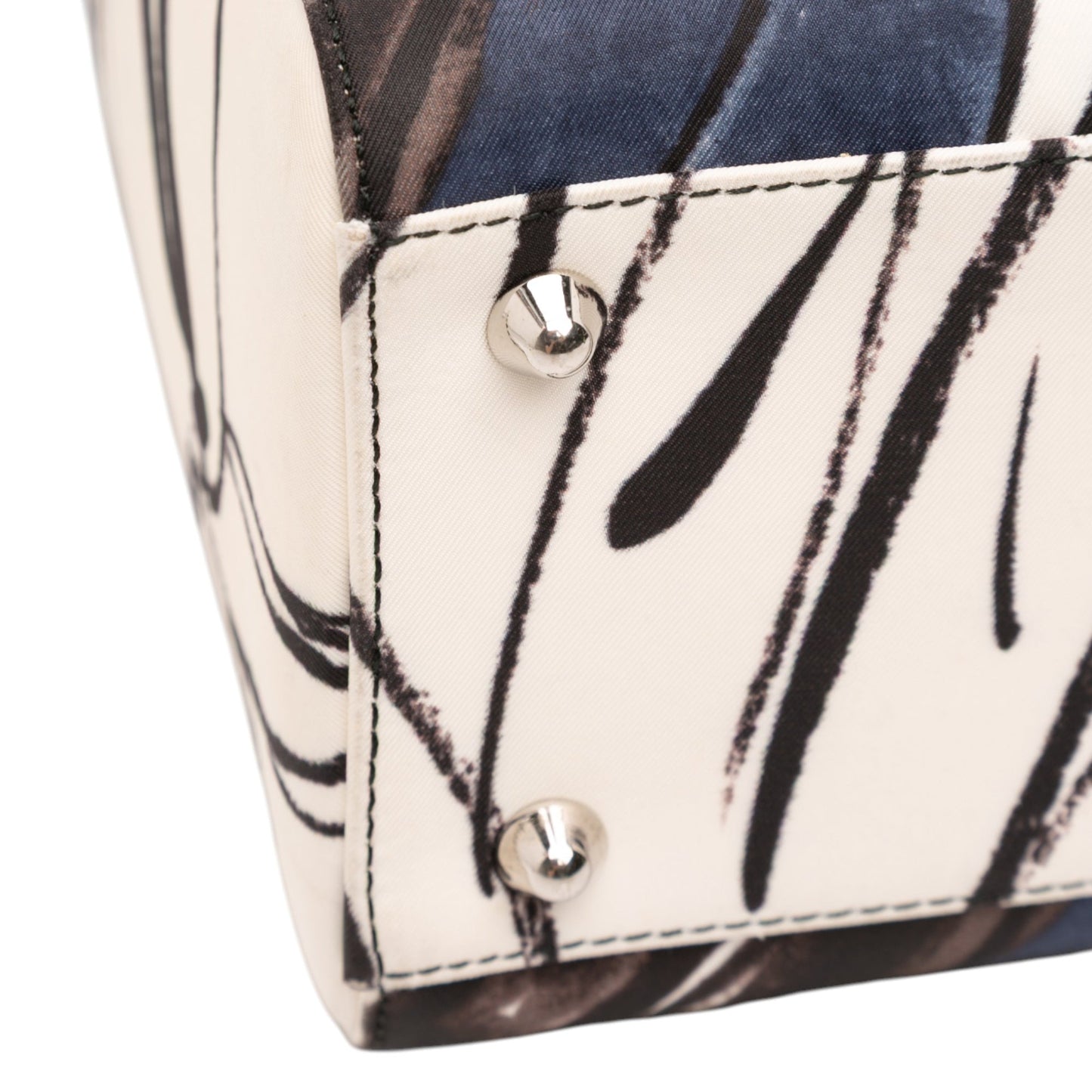Dior Large Canvas Floral Graffiti Lady D Lite