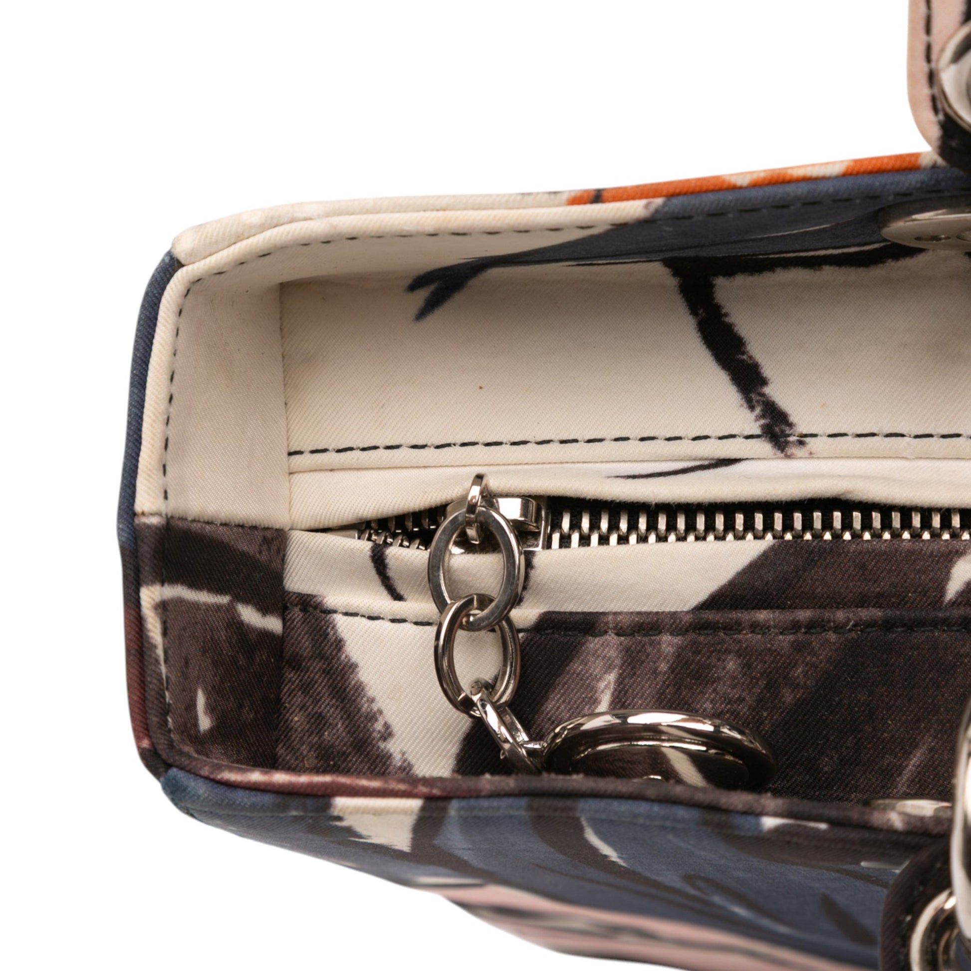 Dior Large Canvas Floral Graffiti Lady D Lite