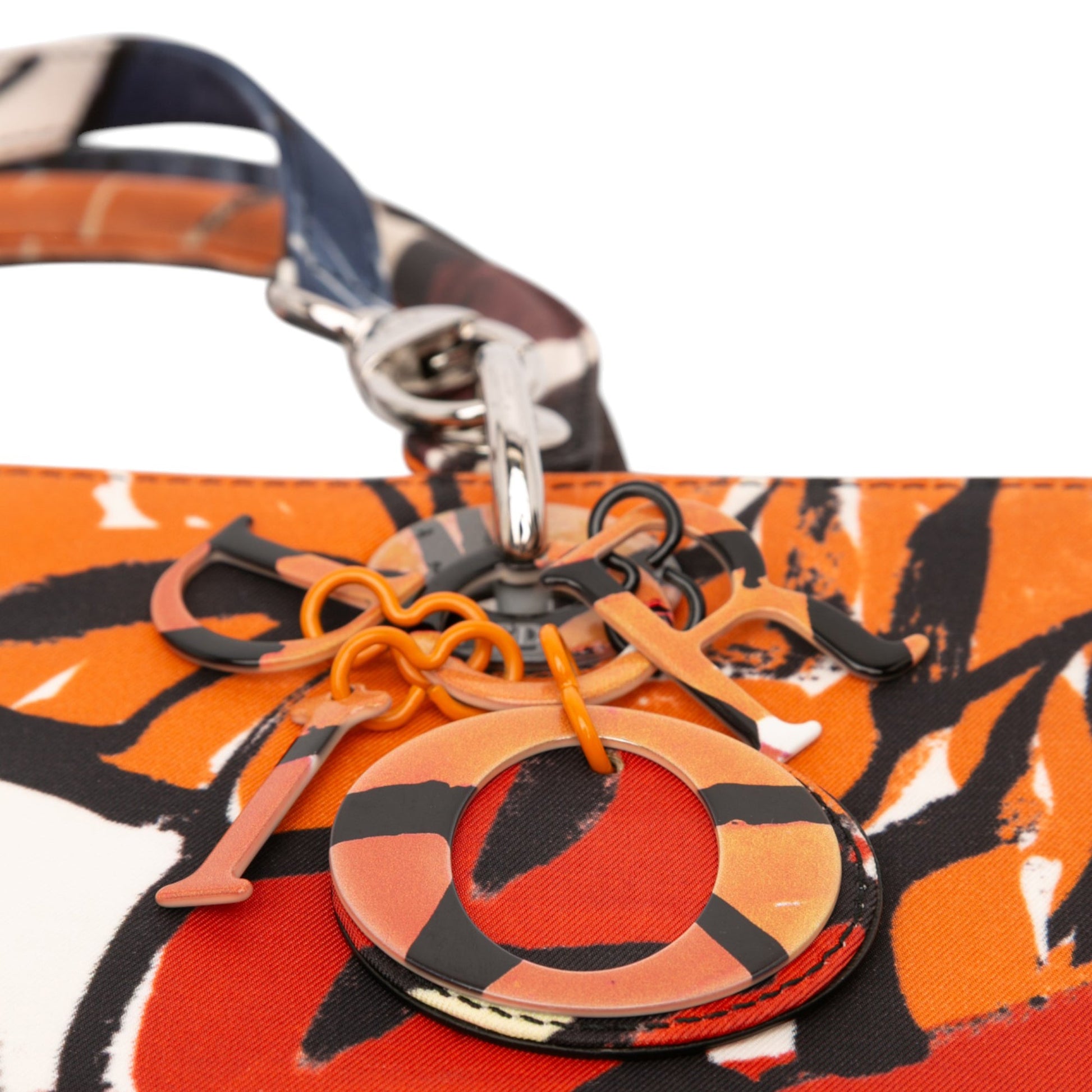Dior Large Canvas Floral Graffiti Lady D Lite