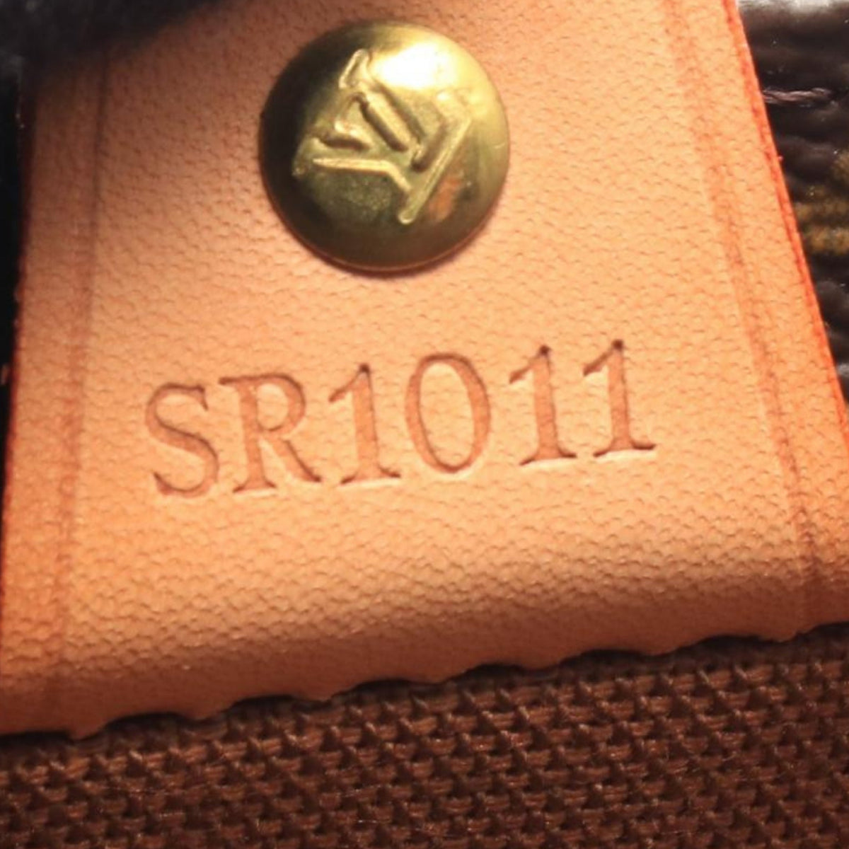 Louis Vuitton Monogram Vavin PM
