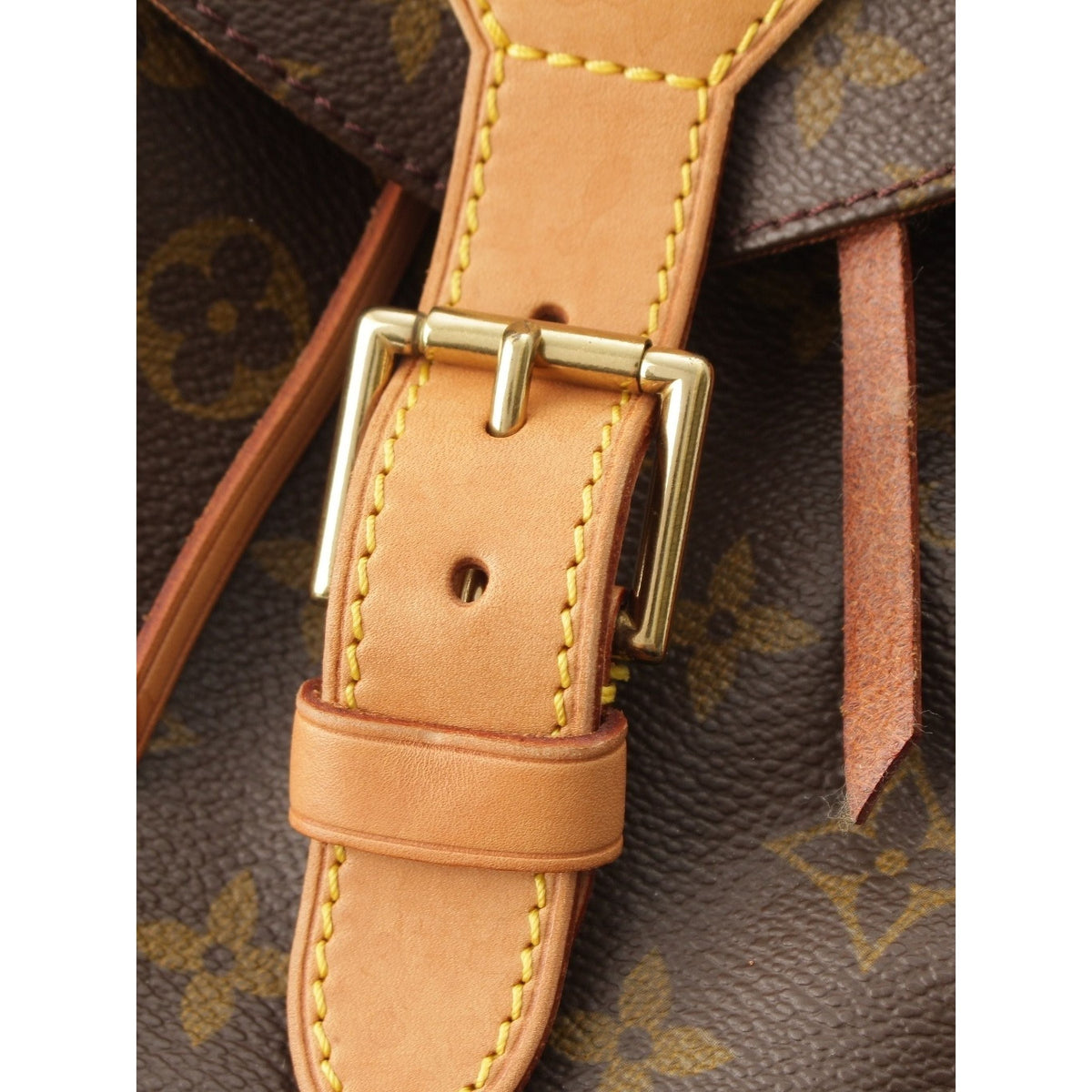 Louis Vuitton Monogram Montsouris GM — Brown