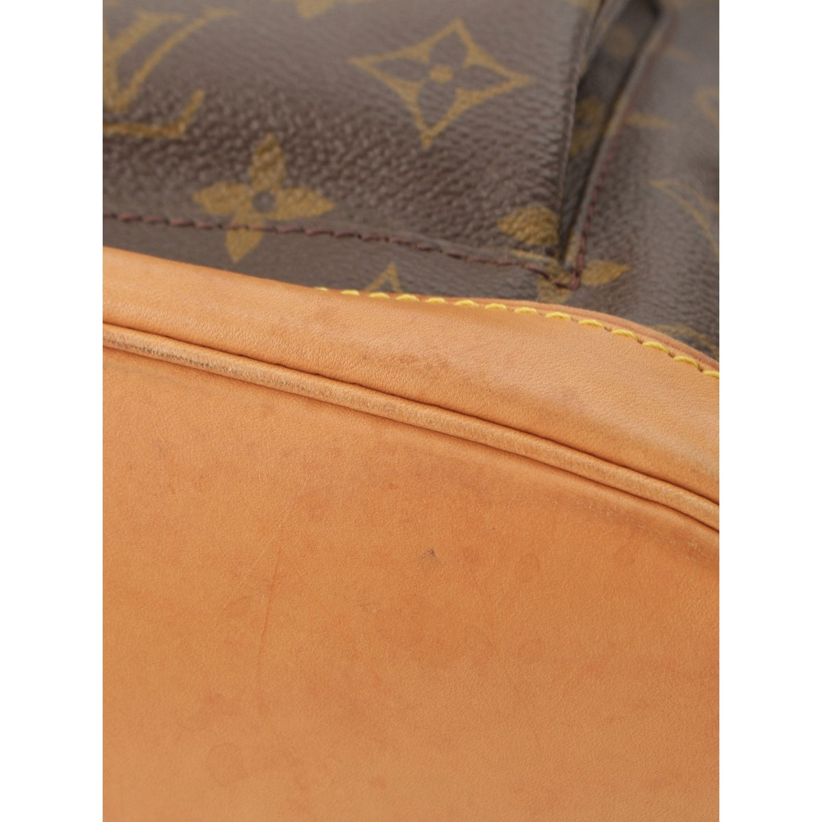 Louis Vuitton Monogram Montsouris GM — Brown