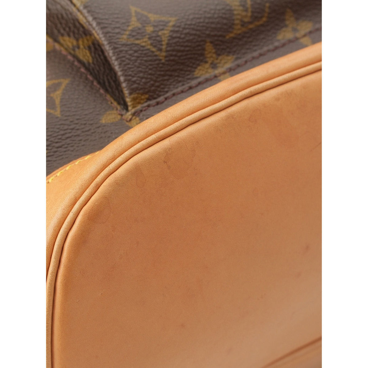 Louis Vuitton Monogram Montsouris GM — Brown
