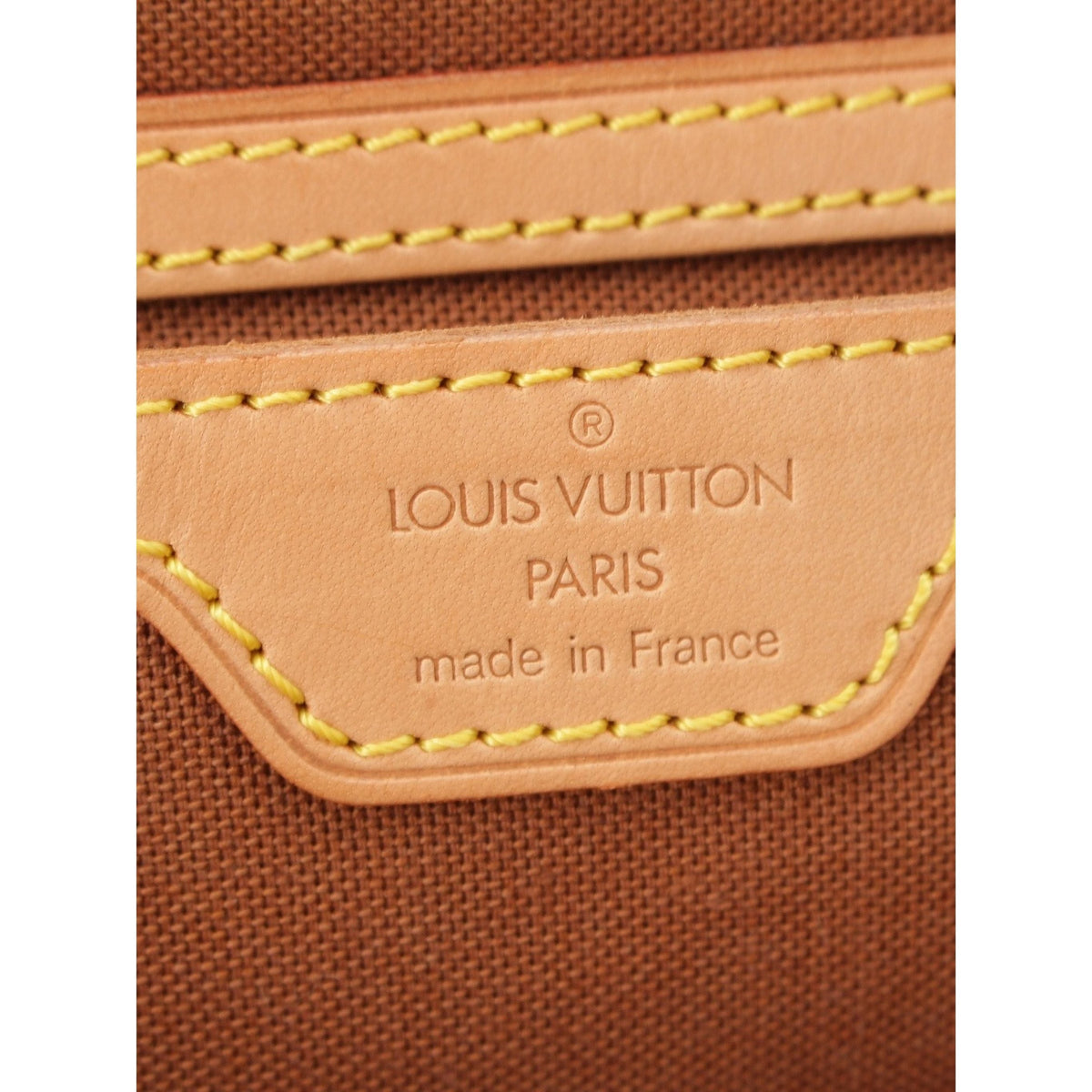 Louis Vuitton Monogram Montsouris GM — Brown