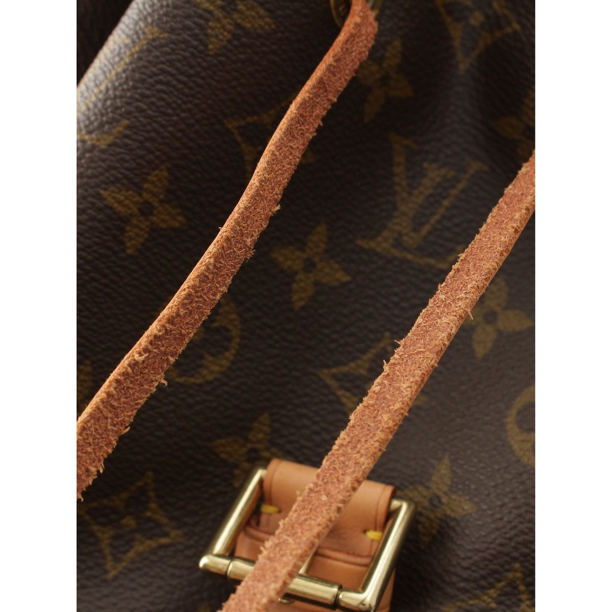 Louis Vuitton Monogram Montsouris GM — Brown