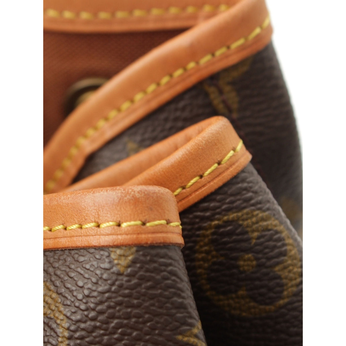 Louis Vuitton Monogram Montsouris GM — Brown