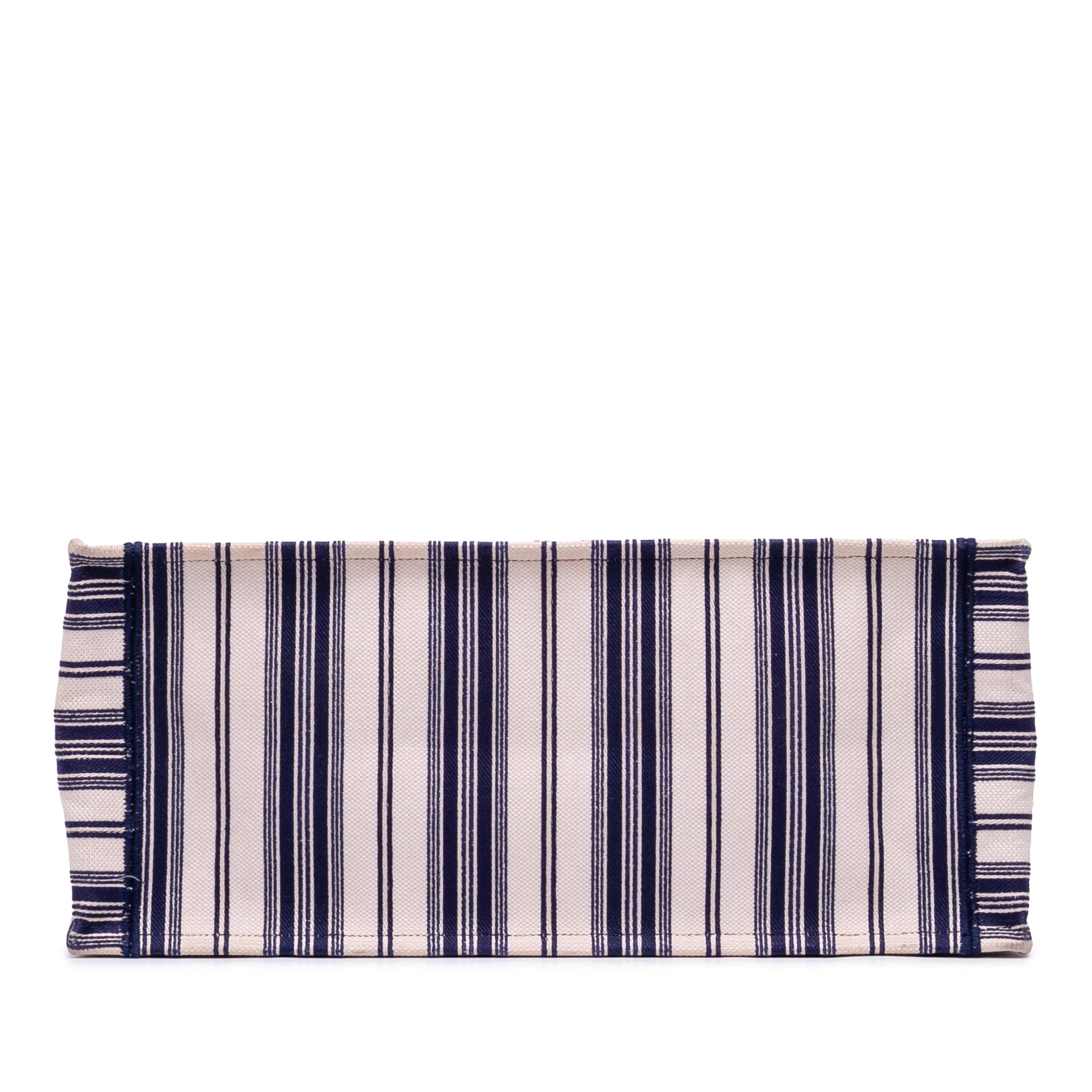 Dior Large Canvas Striped Book Tote