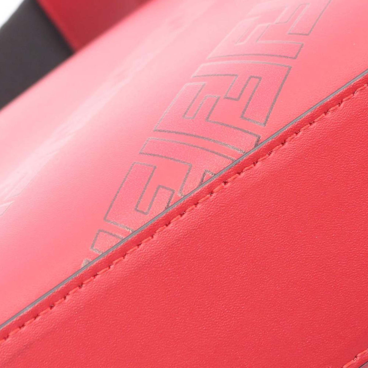 Fendi Leather Chinese New Year Diagonal Camera Bag