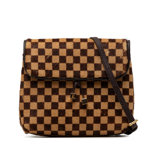 Louis Vuitton Damier Sauvage Gazelle