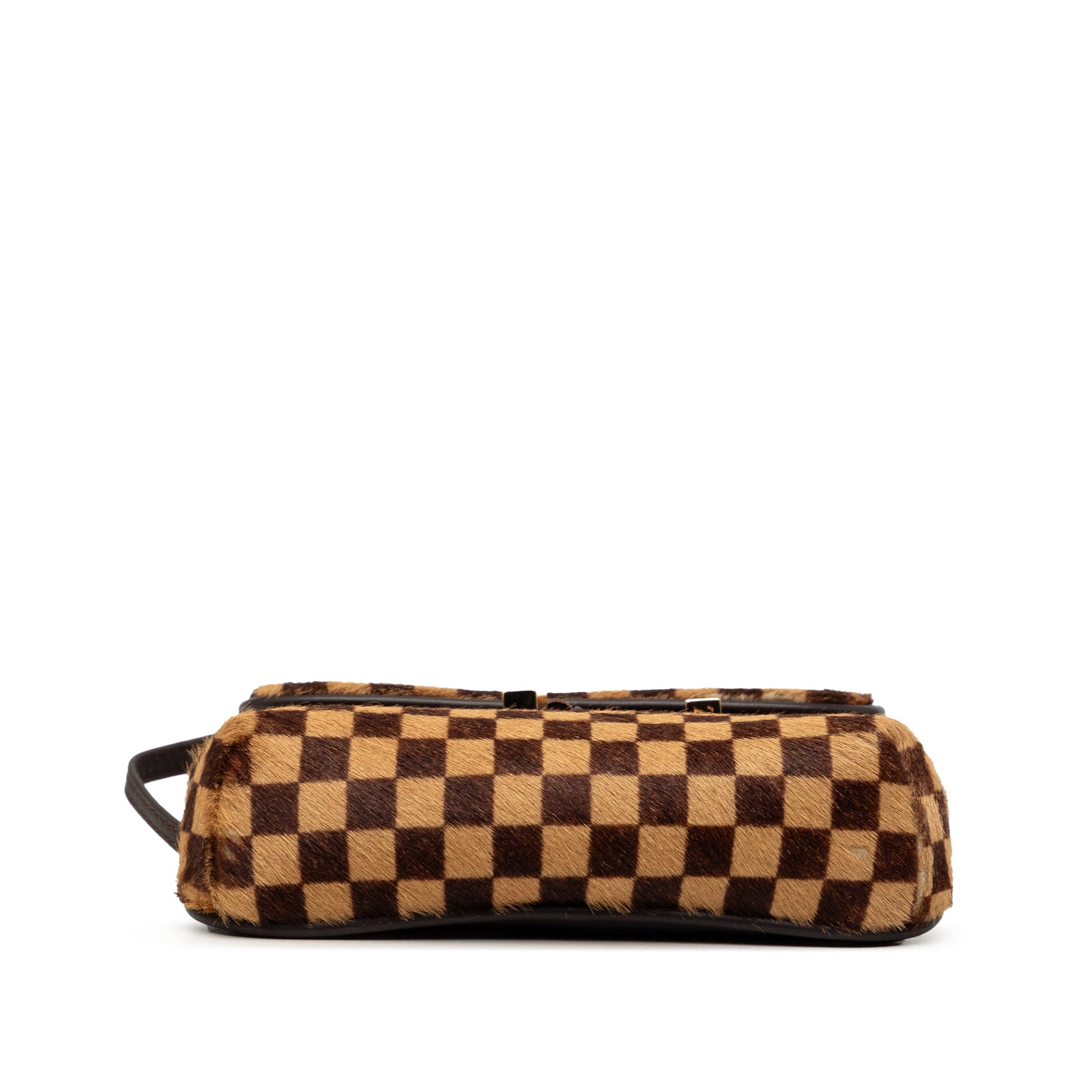 Louis Vuitton Damier Sauvage Gazelle