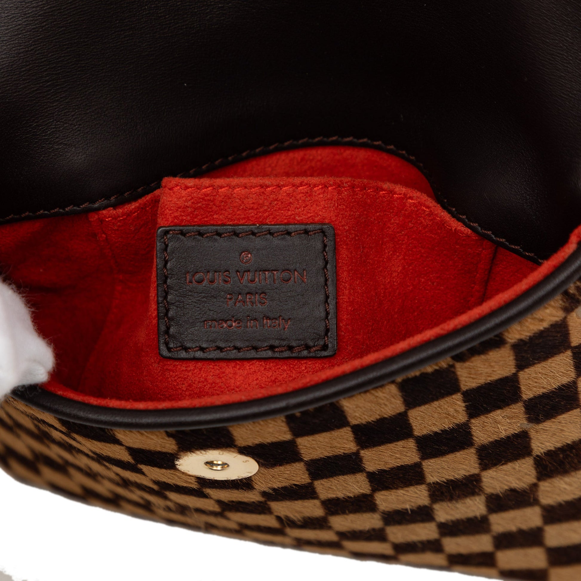 Louis Vuitton Damier Sauvage Gazelle
