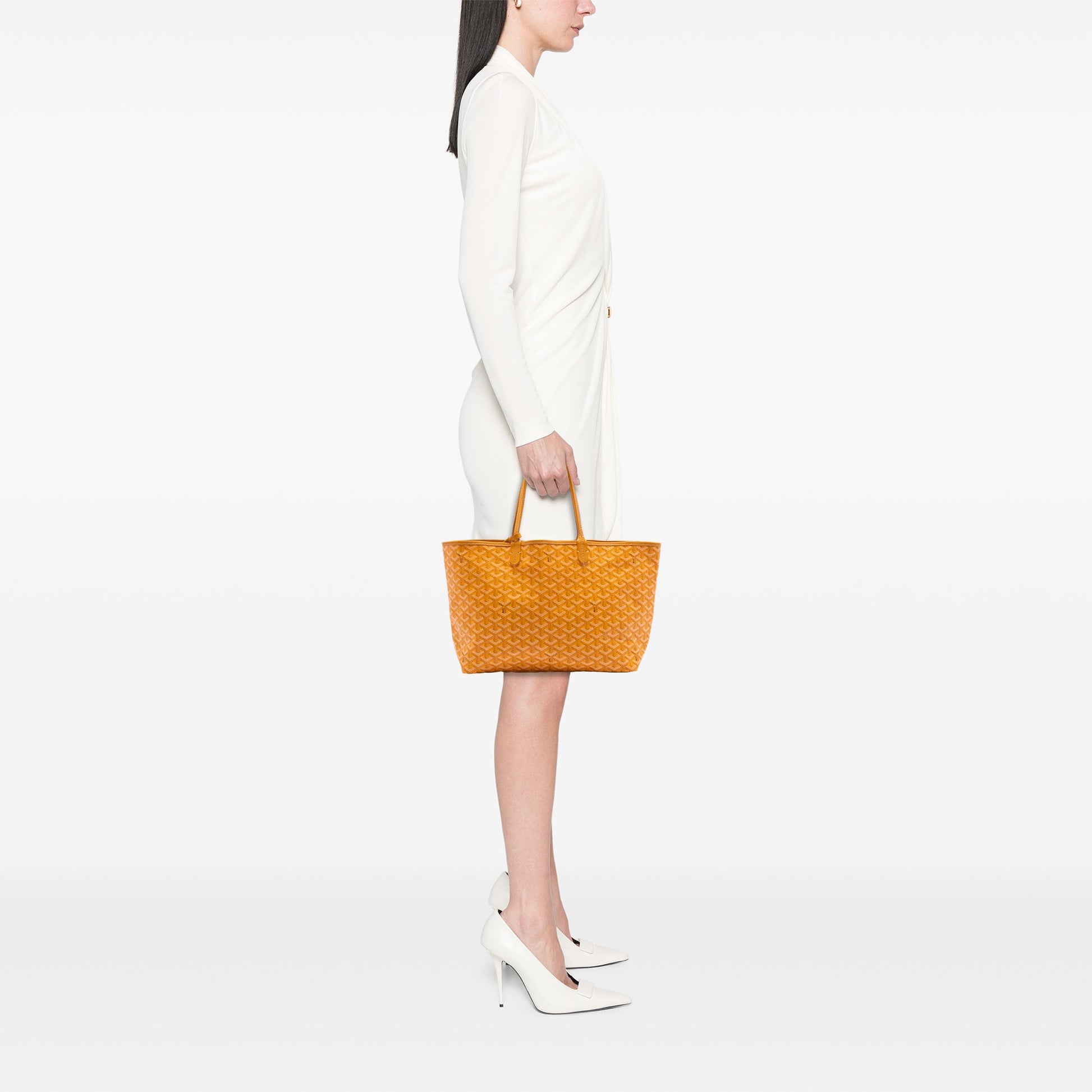 Goyard Goyardine Saint Louis PM