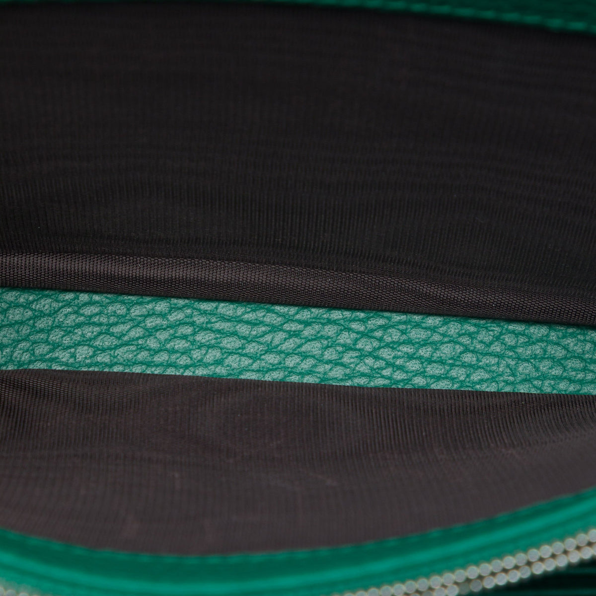 Gucci Calfskin Dionysus Wallet on Chain — Green