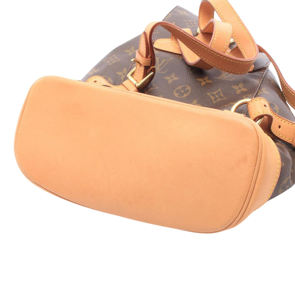 Louis Vuitton Monogram Montsouris MM