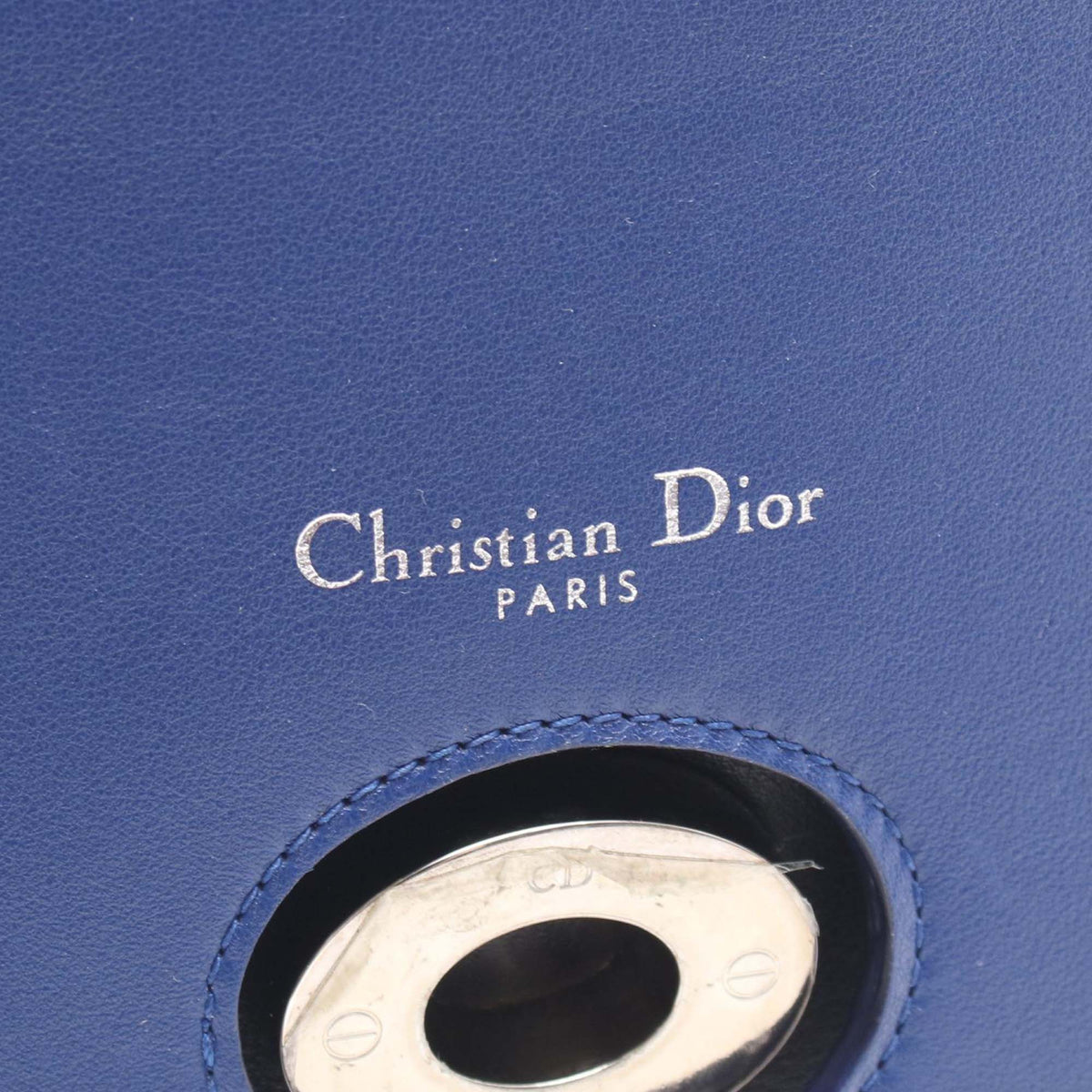 Dior Medium Calfskin Be Dior Double Flap
