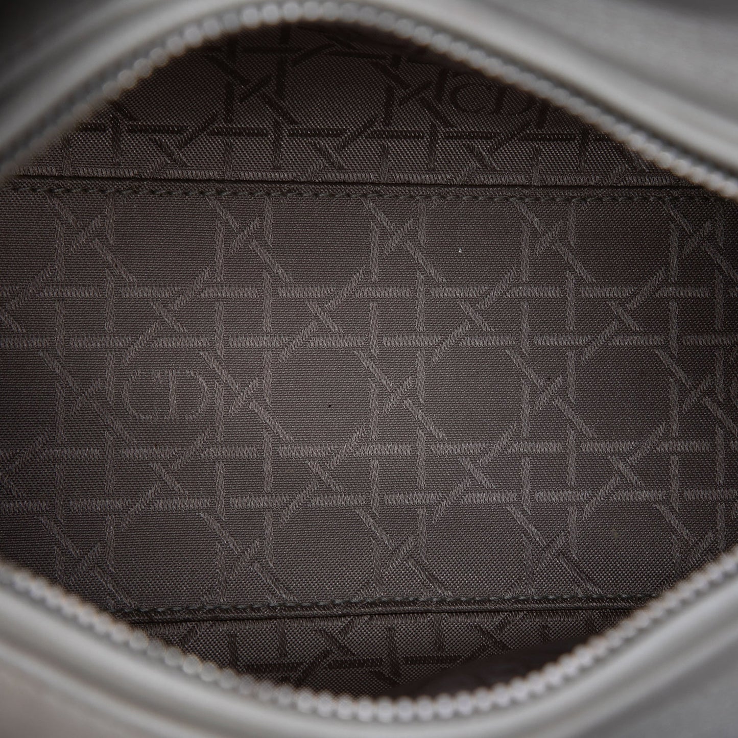 Dior Medium Pearlescent Lambskin Cannage Lady Dior