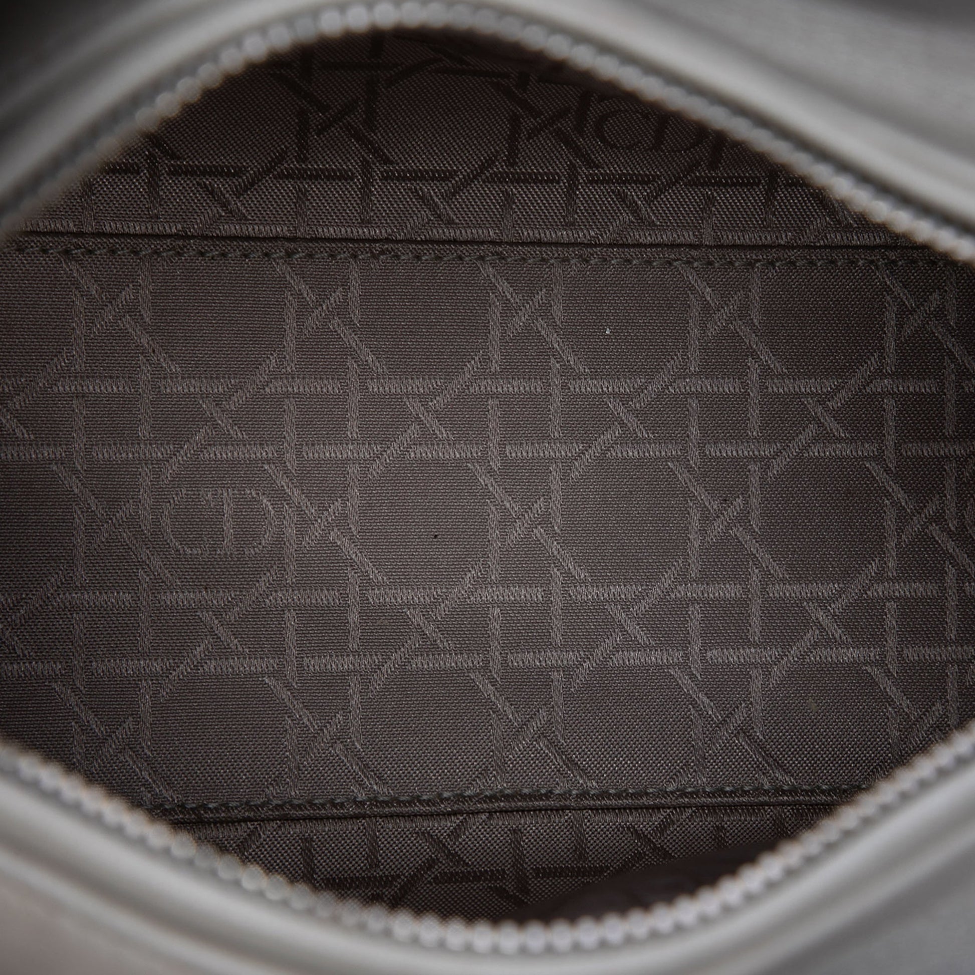 Dior Medium Pearlescent Lambskin Cannage Lady Dior