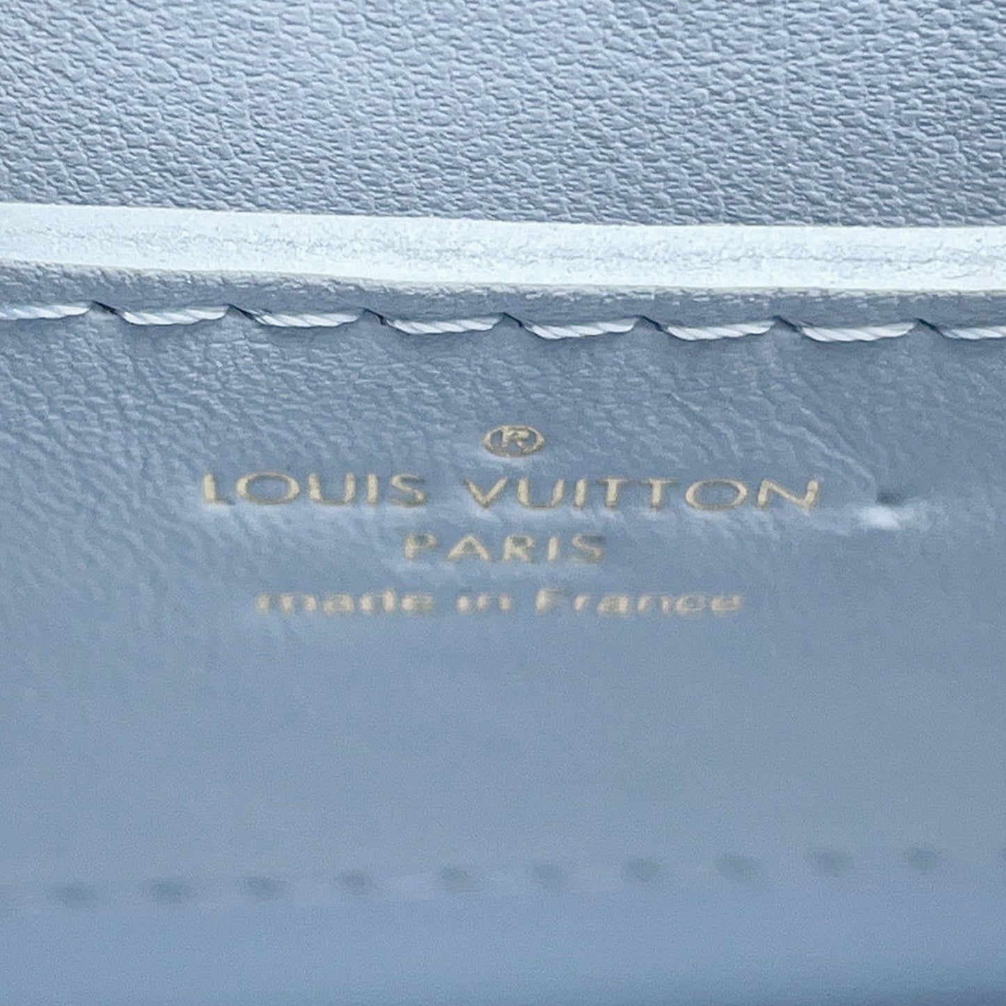 Louis Vuitton Taurillon Twist One Handle PM