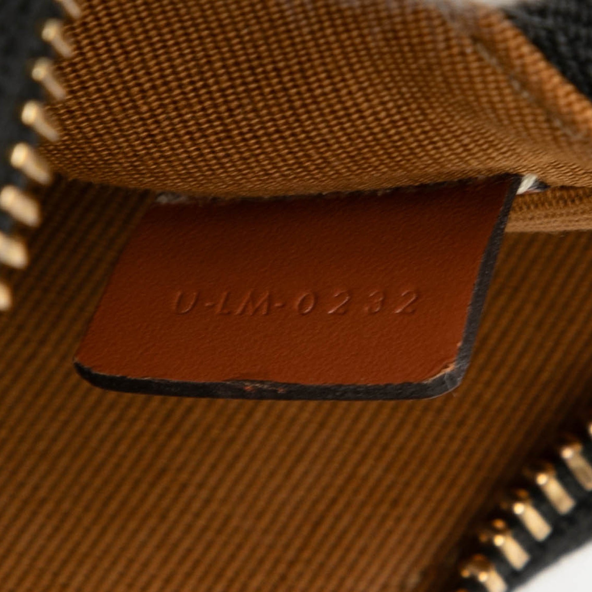 Celine Mini Triomphe Coated Canvas Ava Shoulder Bag
