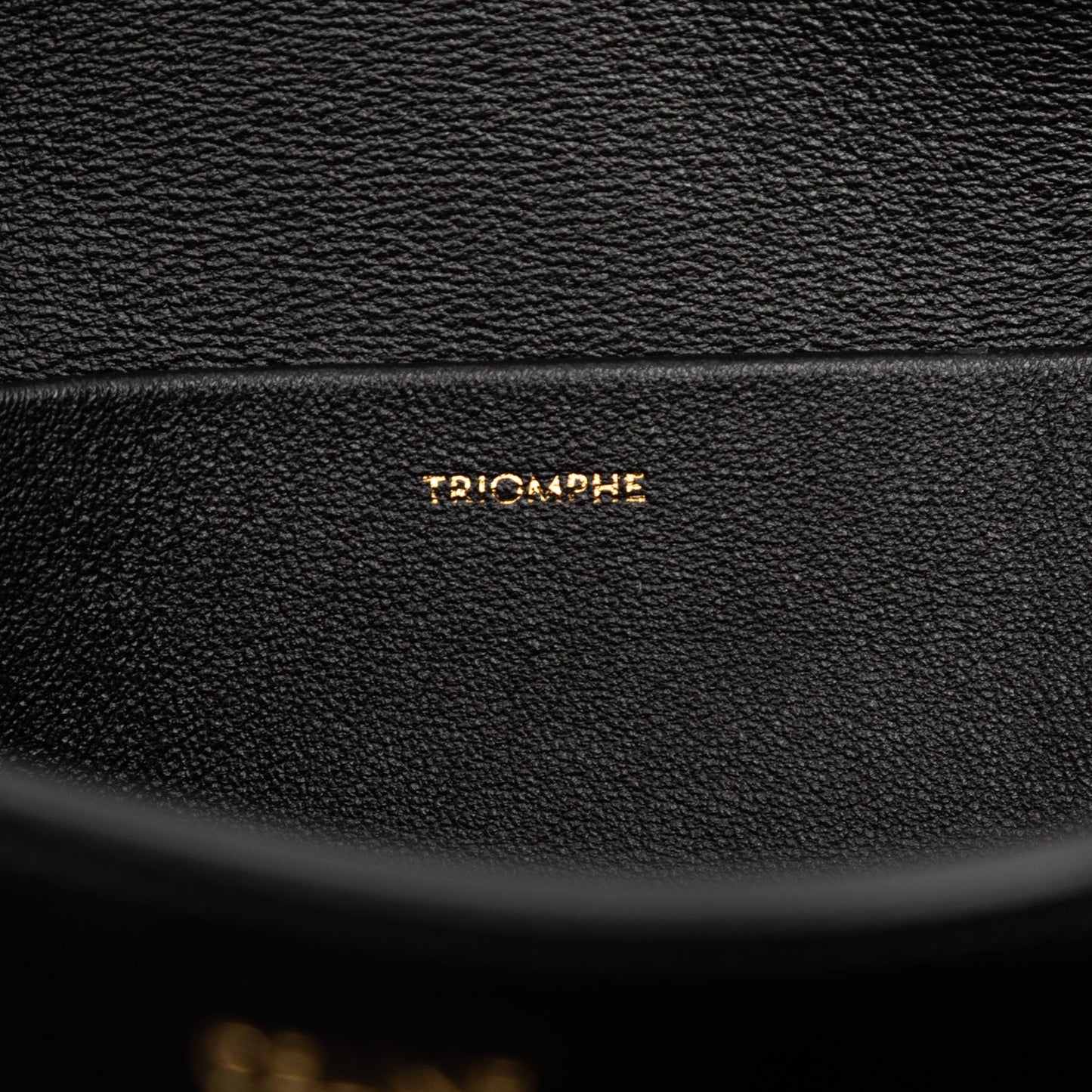 Celine Shiny Calfskin Triomphe Claude Shoulder Bag