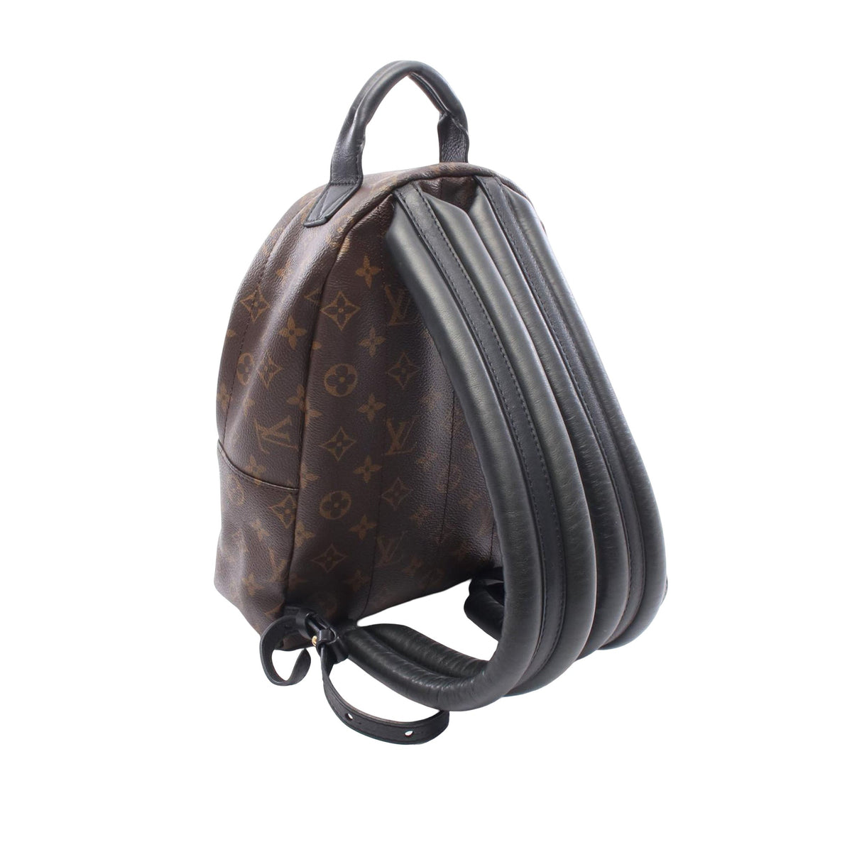 Louis Vuitton Monogram Palm Springs PM