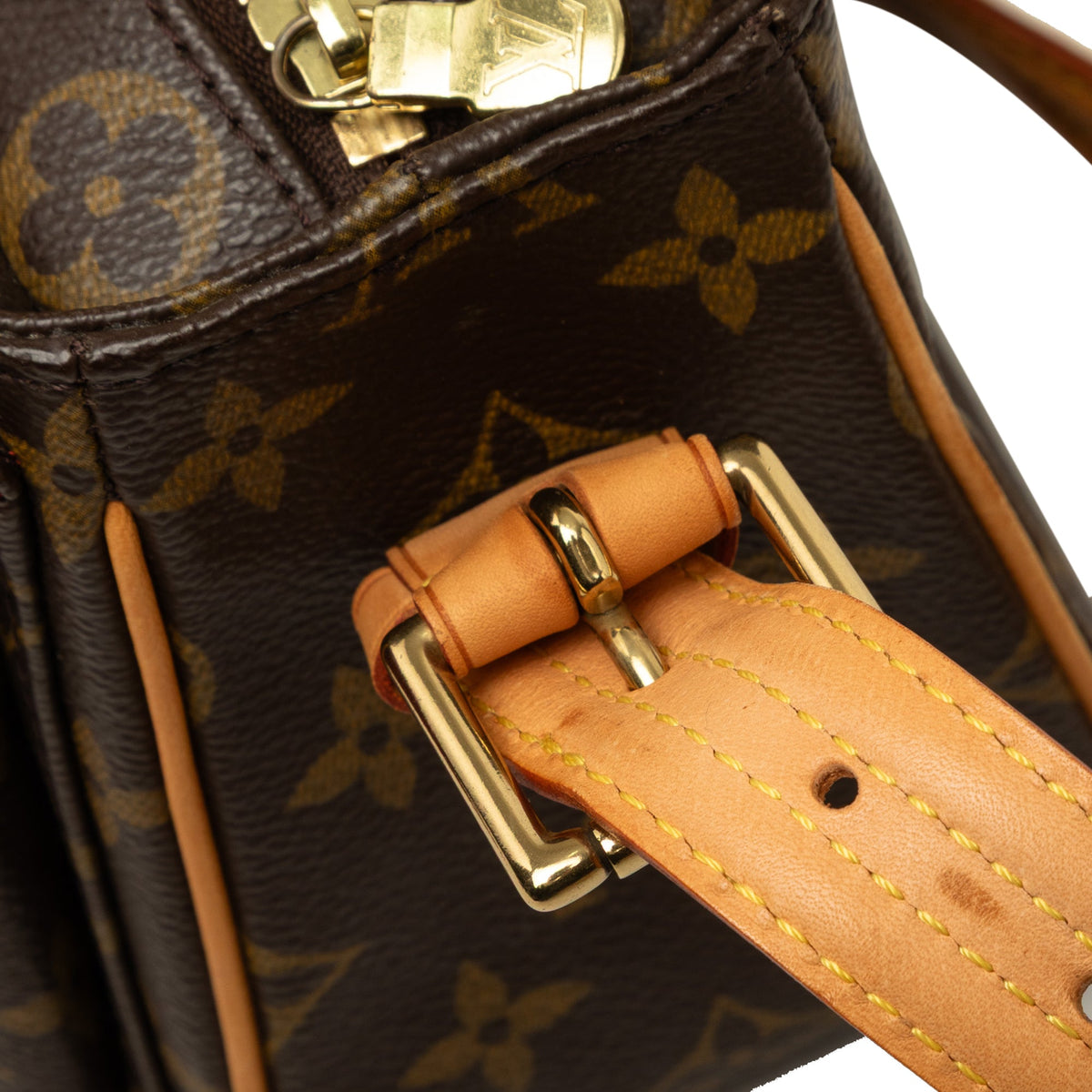 Louis Vuitton Monogram Viva Cite MM — Brown