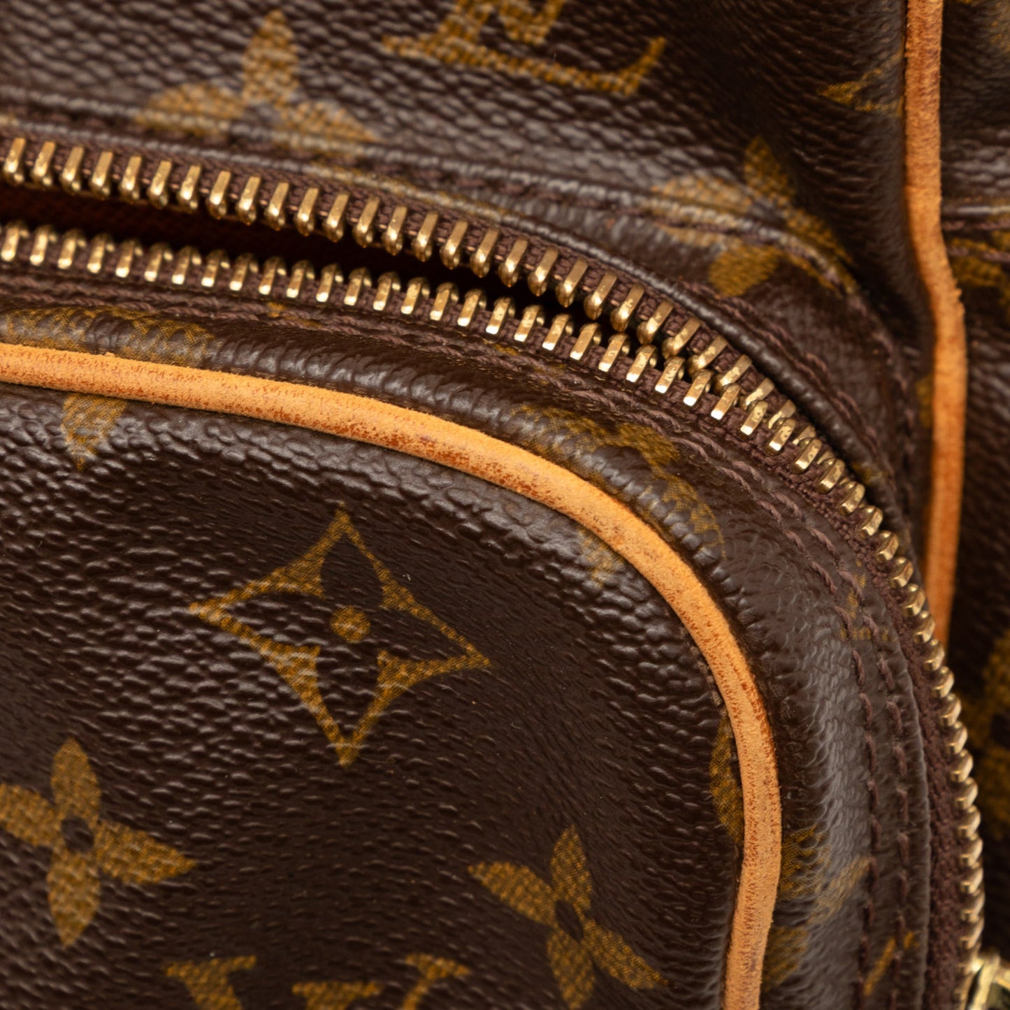 Louis Vuitton Monogram Amazone