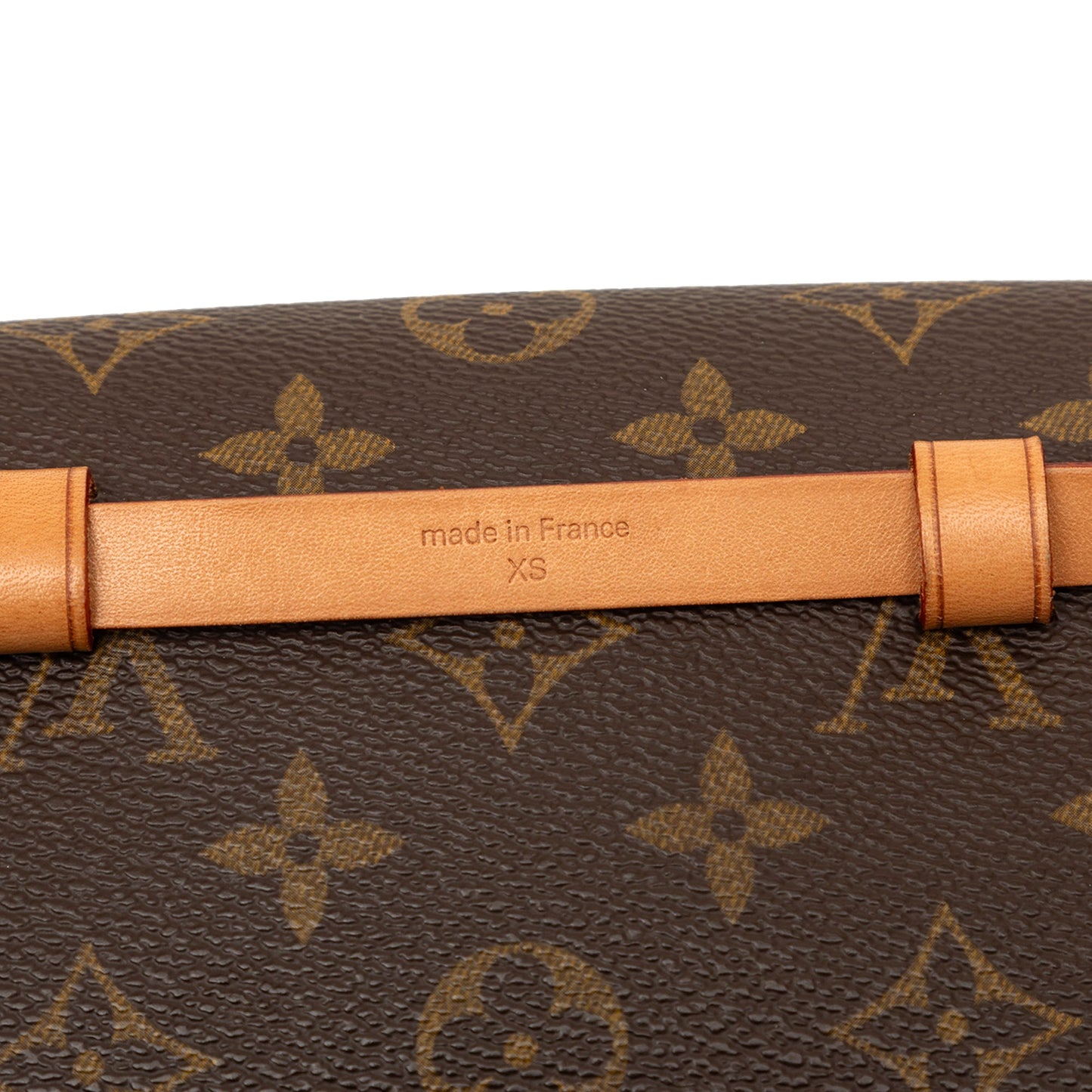 Louis Vuitton Monogram Pochette Florentine