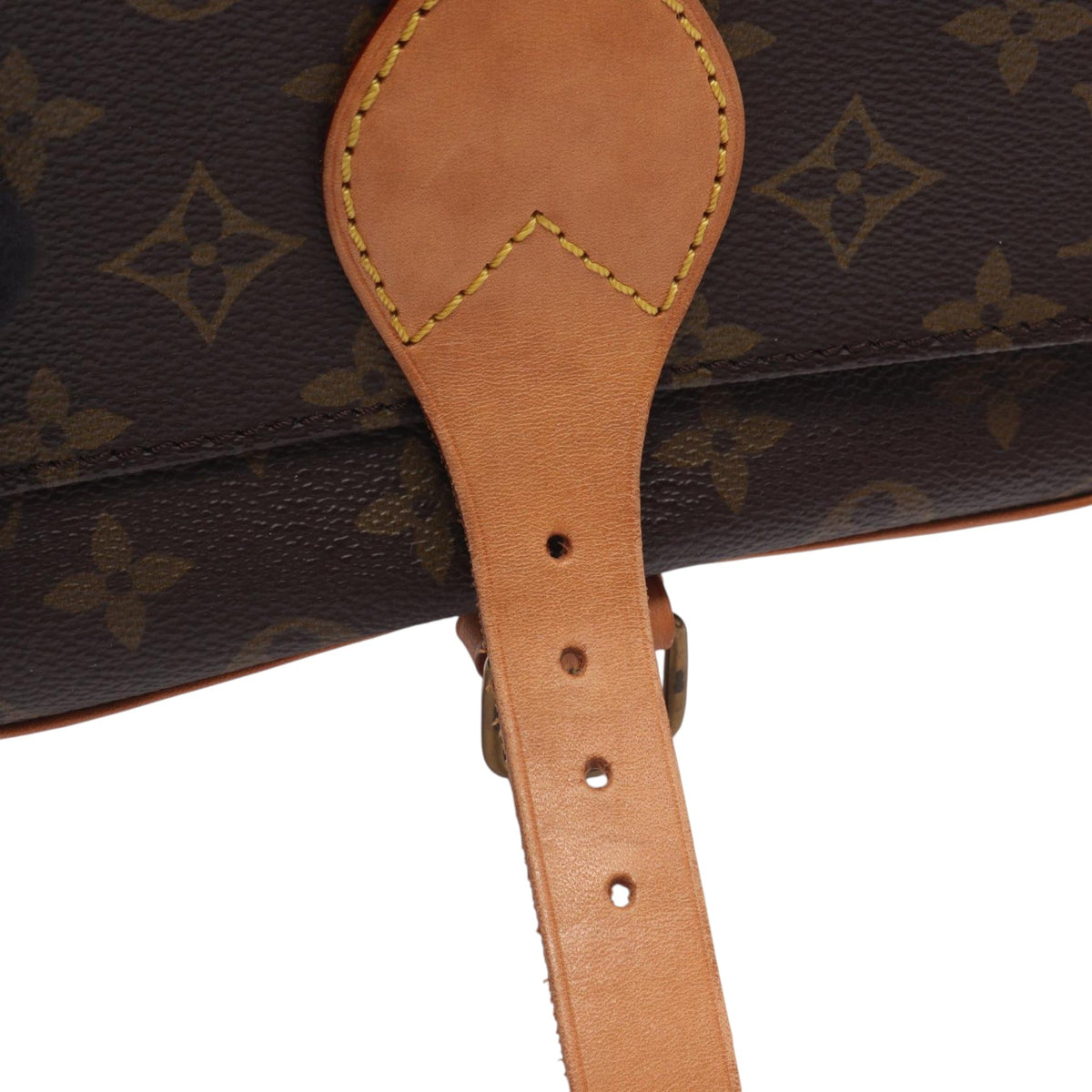 Louis Vuitton Monogram Cartouchiere MM