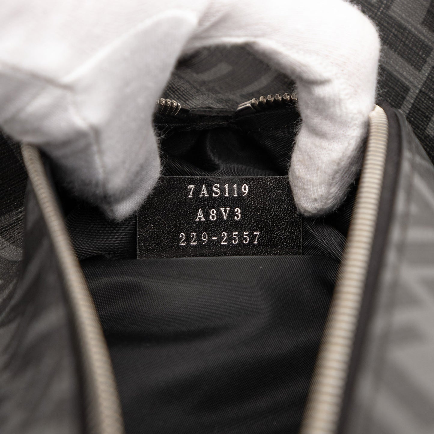 Fendi Zucca Coated Canvas Shoe Case