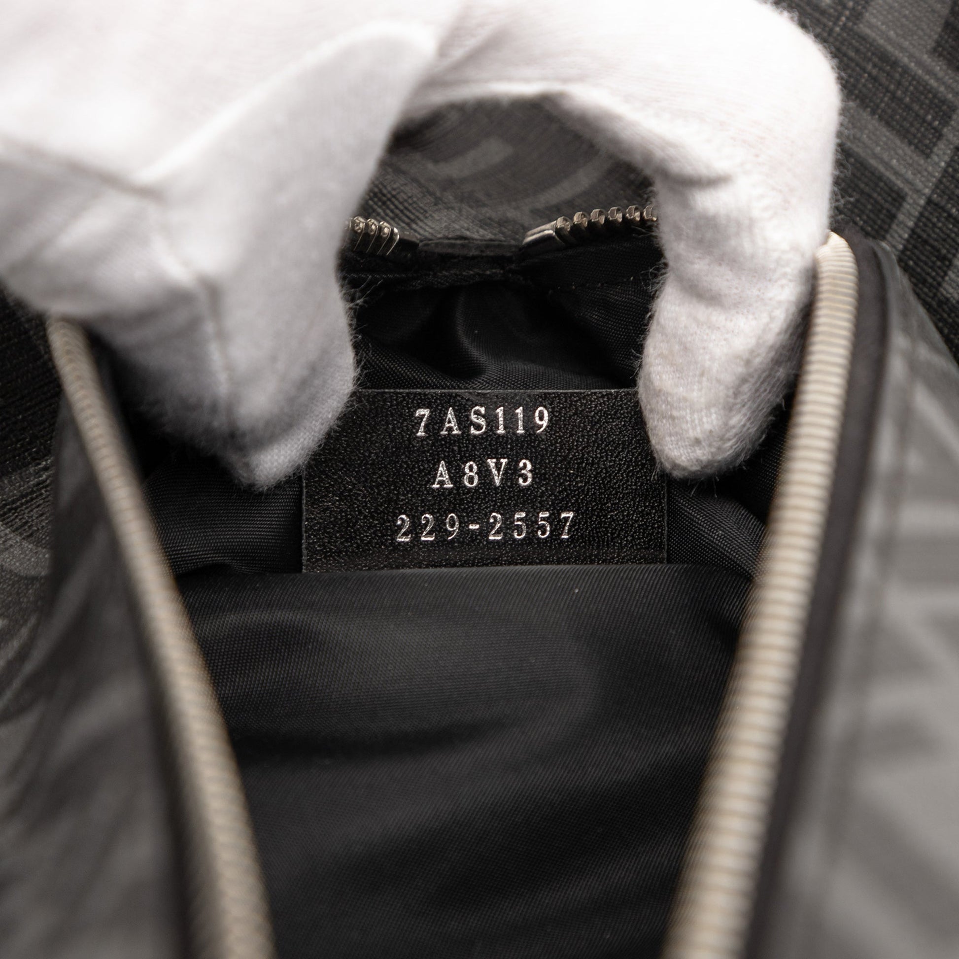 Fendi Zucca Coated Canvas Shoe Case