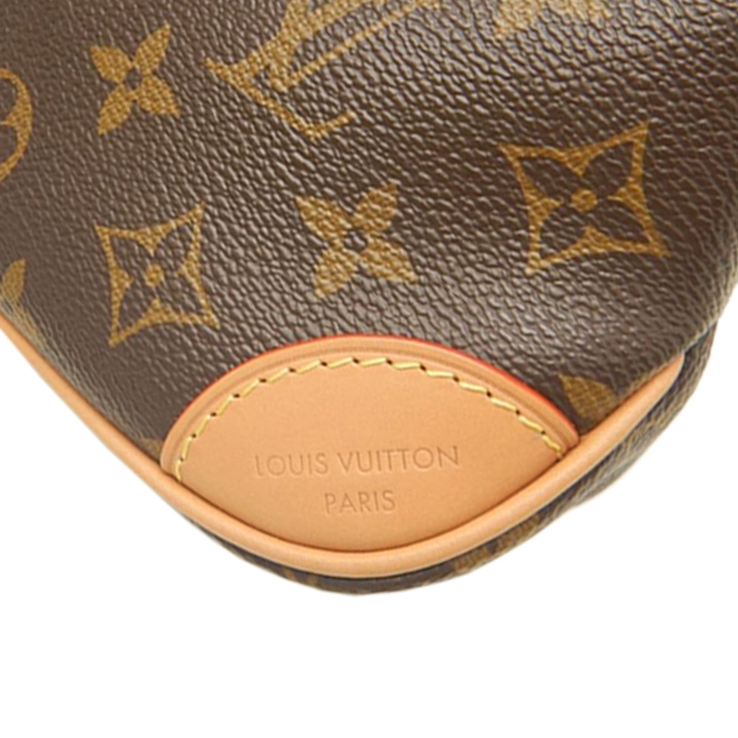 Louis Vuitton Monogram Nano Boulogne