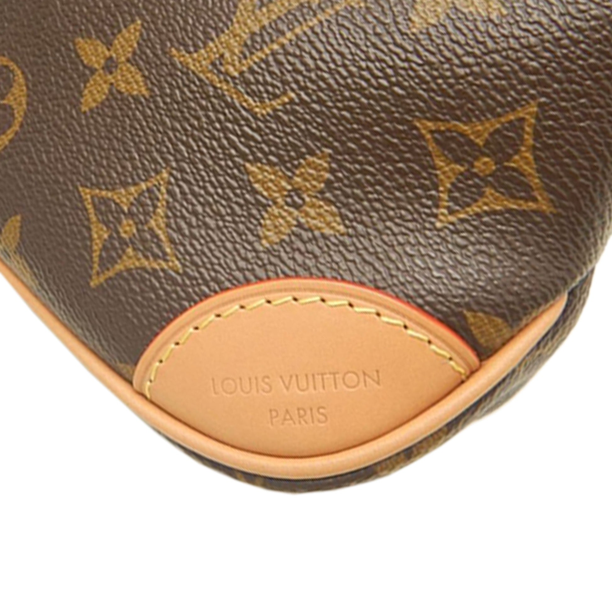 Louis Vuitton Monogram Nano Boulogne