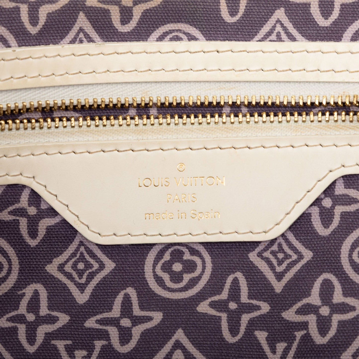 Louis Vuitton Monogram Tahitienne Cabas PM