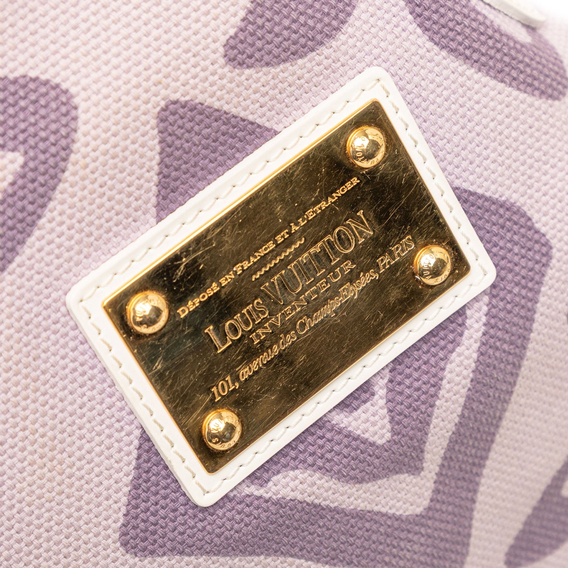 Louis Vuitton Monogram Tahitienne Cabas PM
