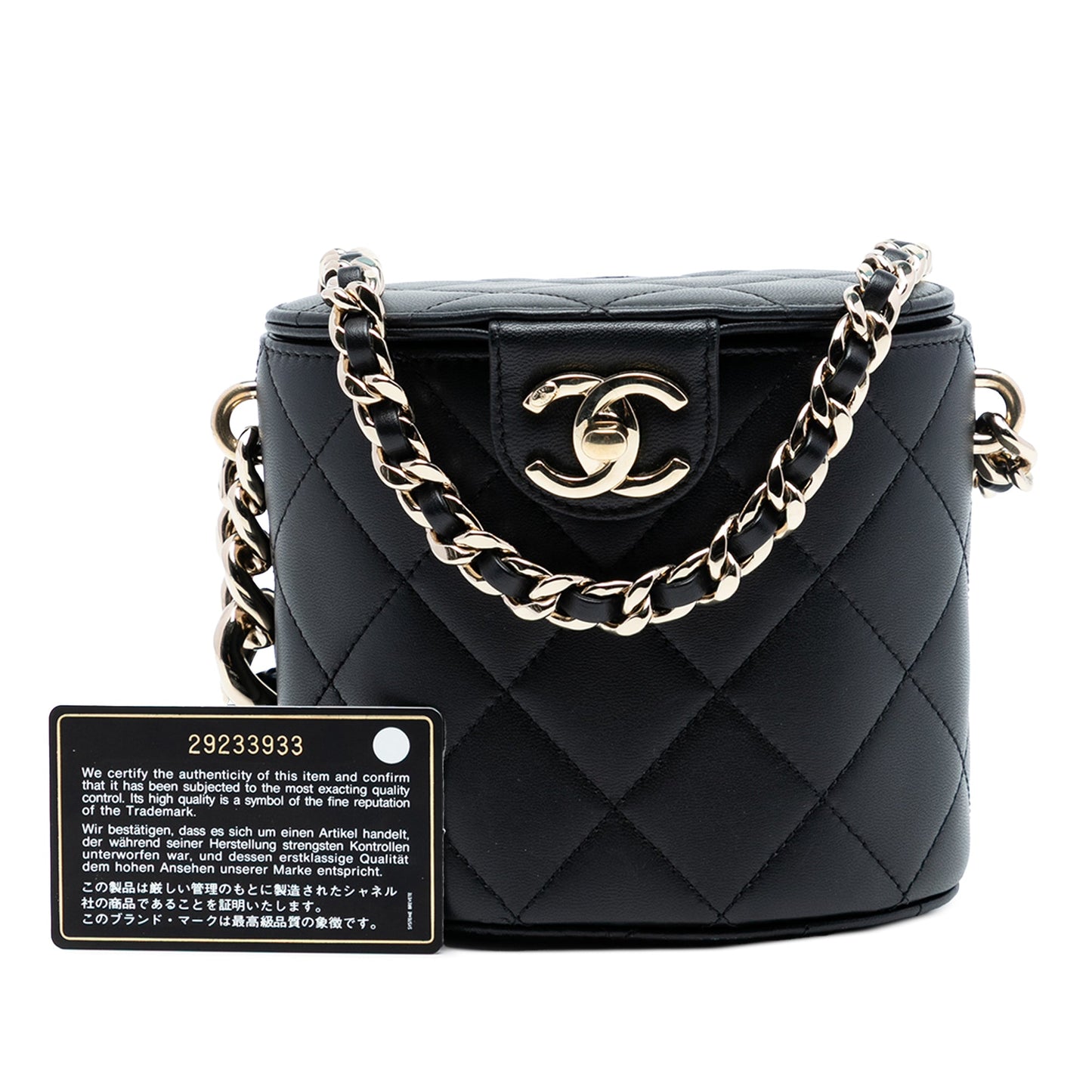 Chanel Mini Quilted Lambskin Elegant Chain Vanity Case