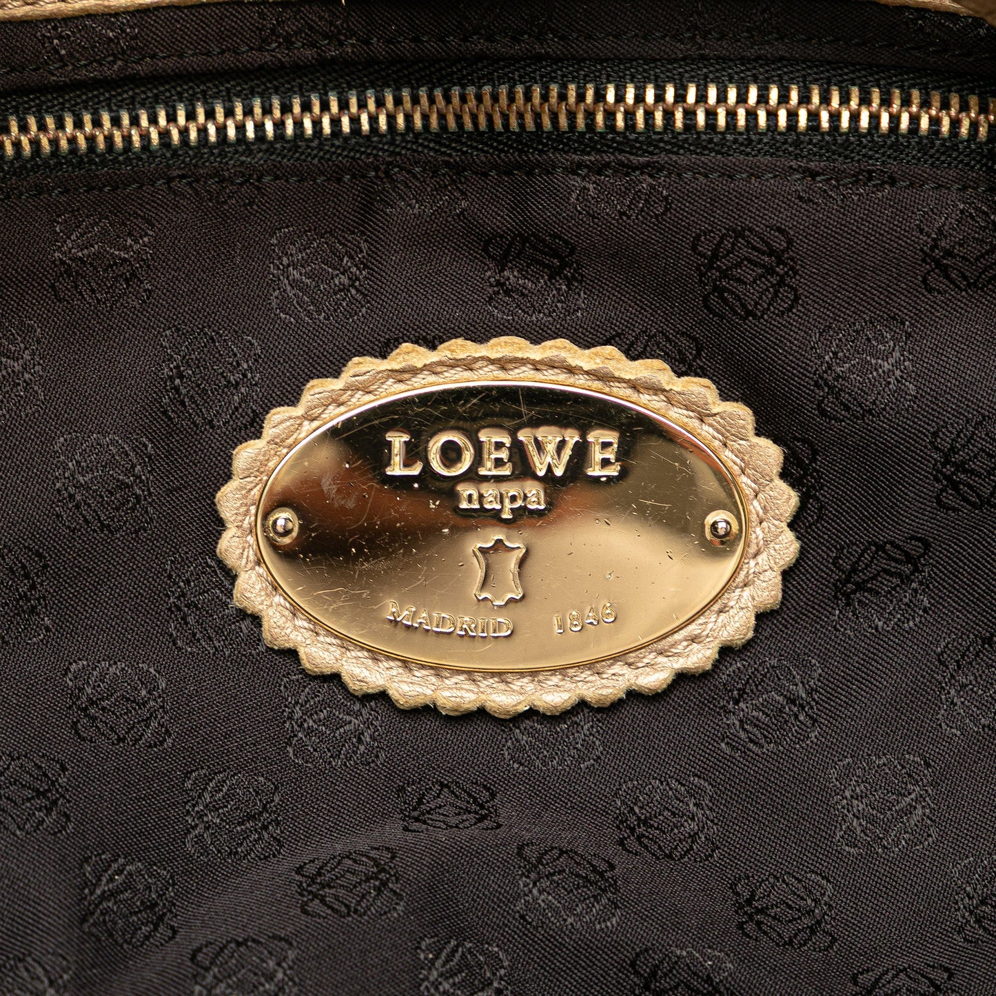 LOEWE Metallic Nappa Aire