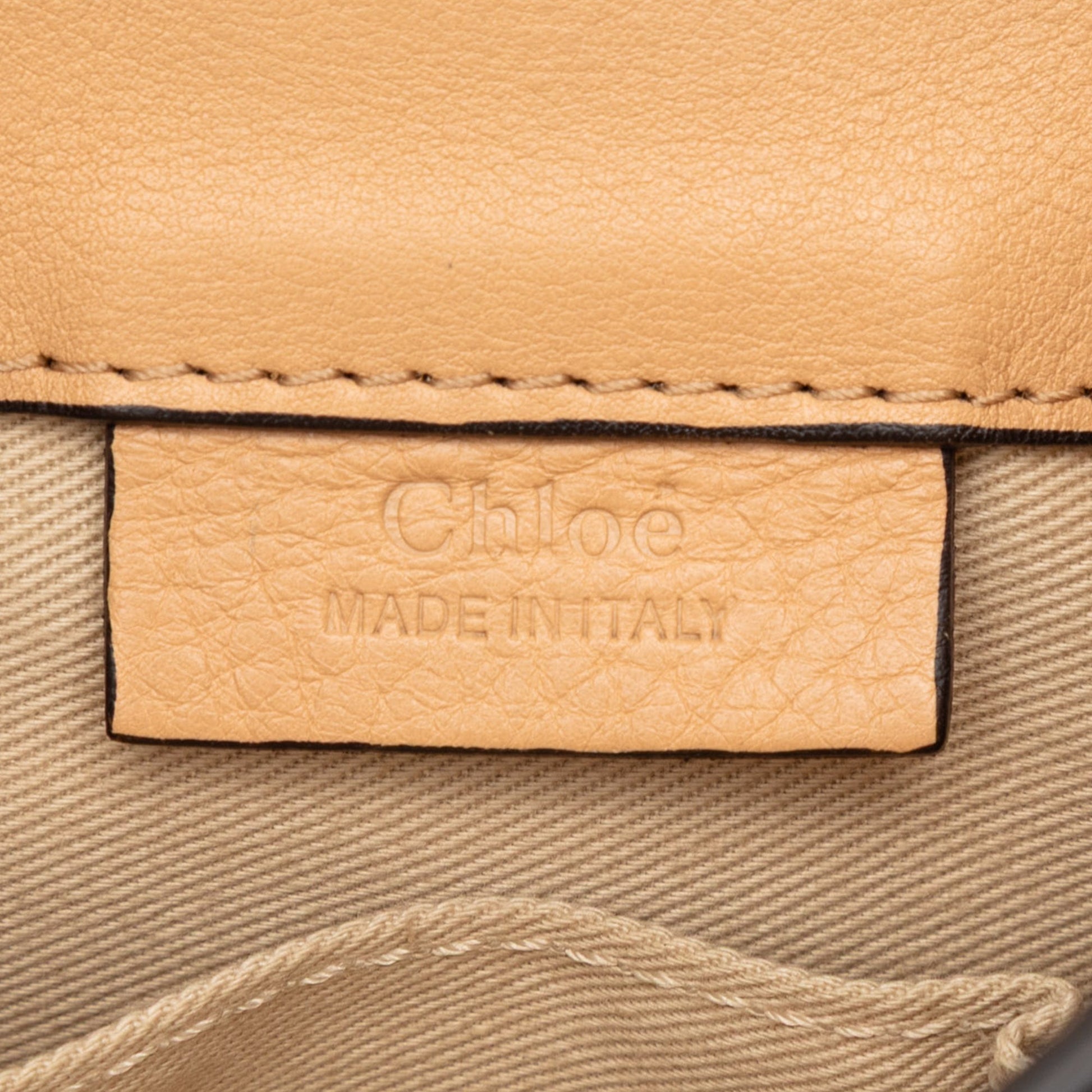 Chloé Mini Calfskin and Suede Faye Backpack